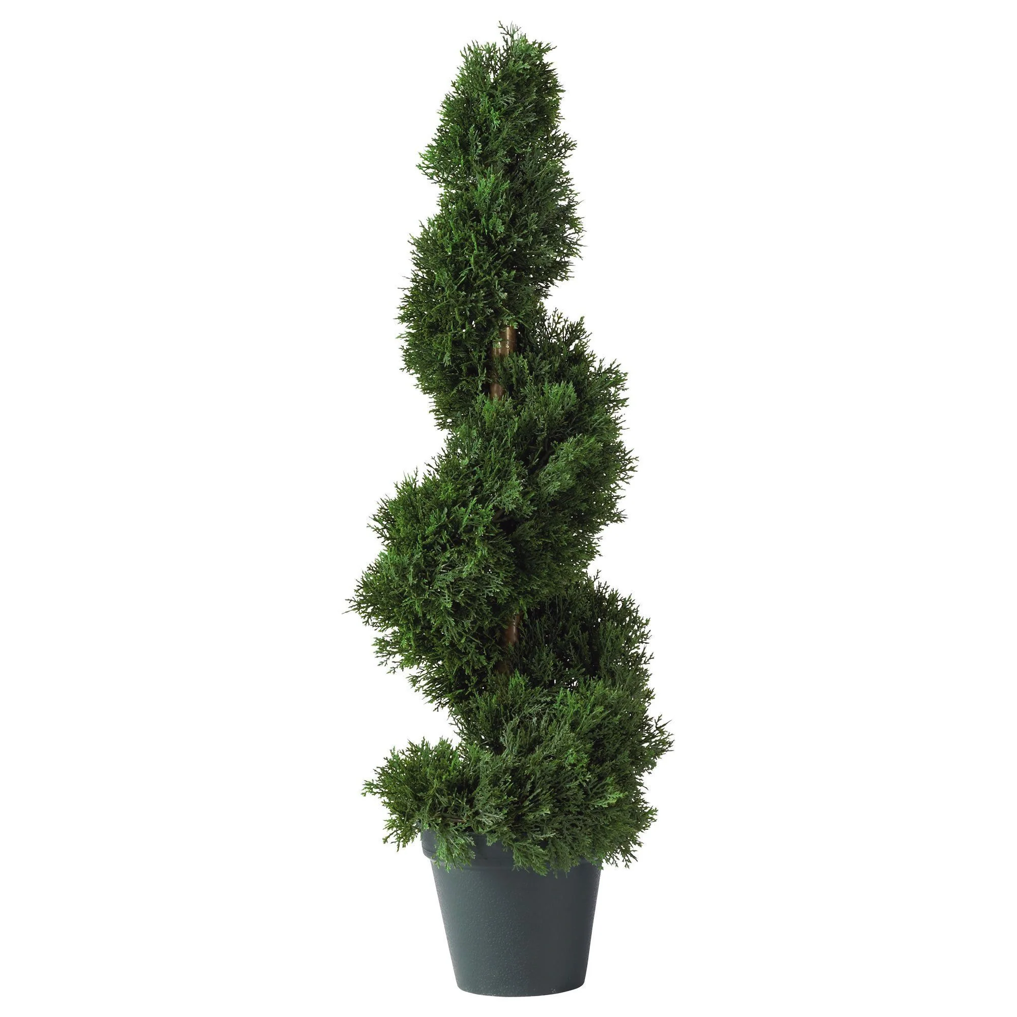 2' Cedar Spiral Silk Tree (Indoor/Outdoor) - Image 3