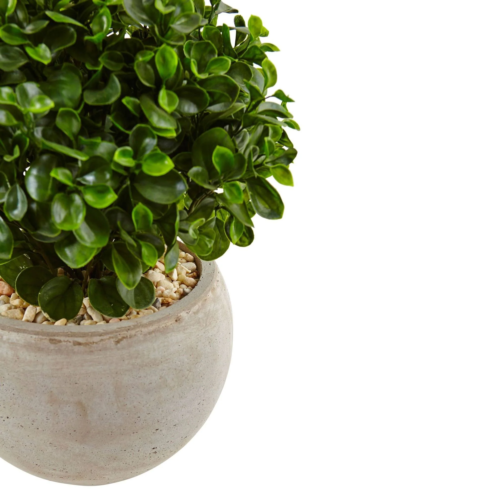 2’ Eucalyptus in Sand Colored Bowl UV Resistant (Indoor/Outdoor) - Image 2