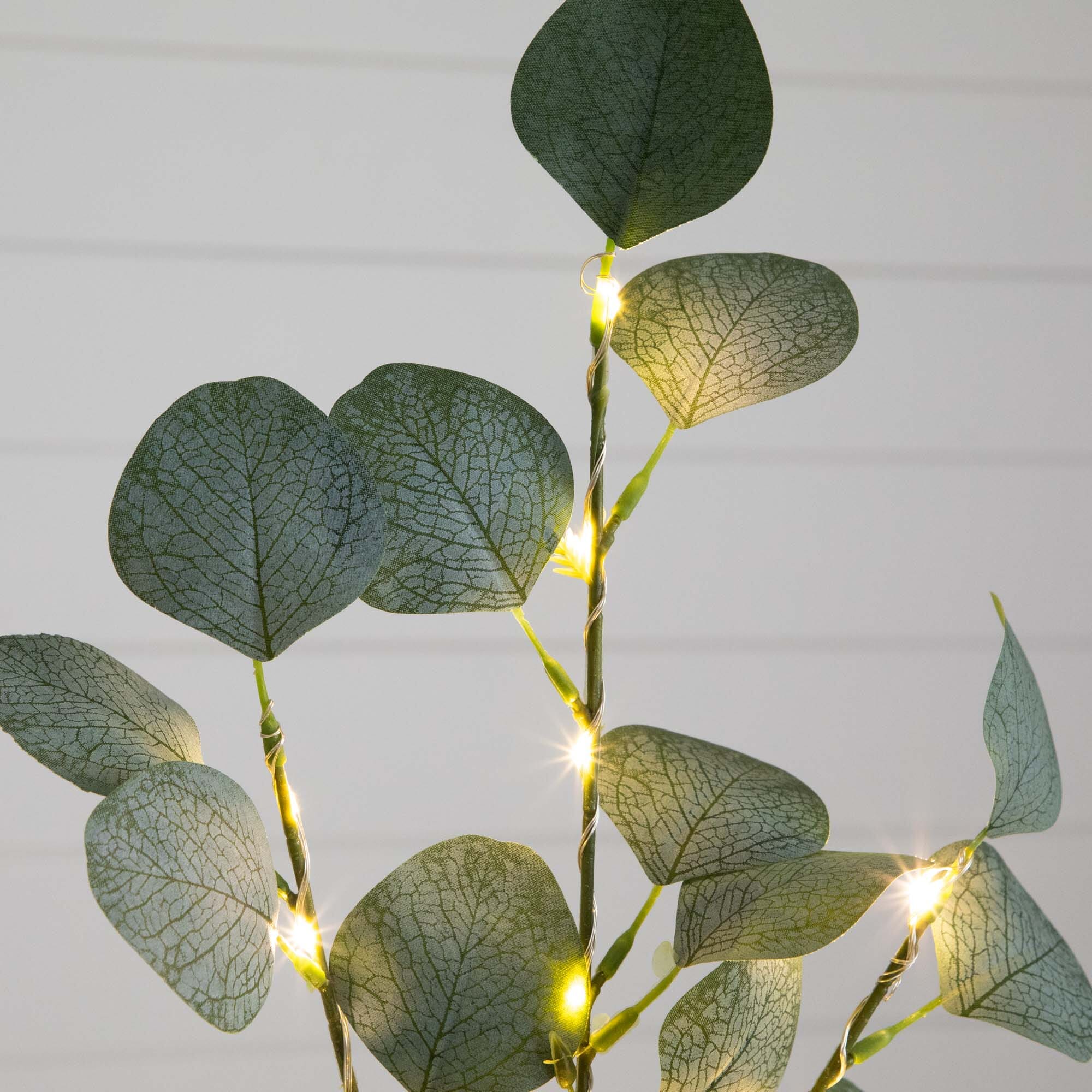 2’ Lighted Artificial Eucalyptus Tree with 60 Warm White LED Lights - Image 2