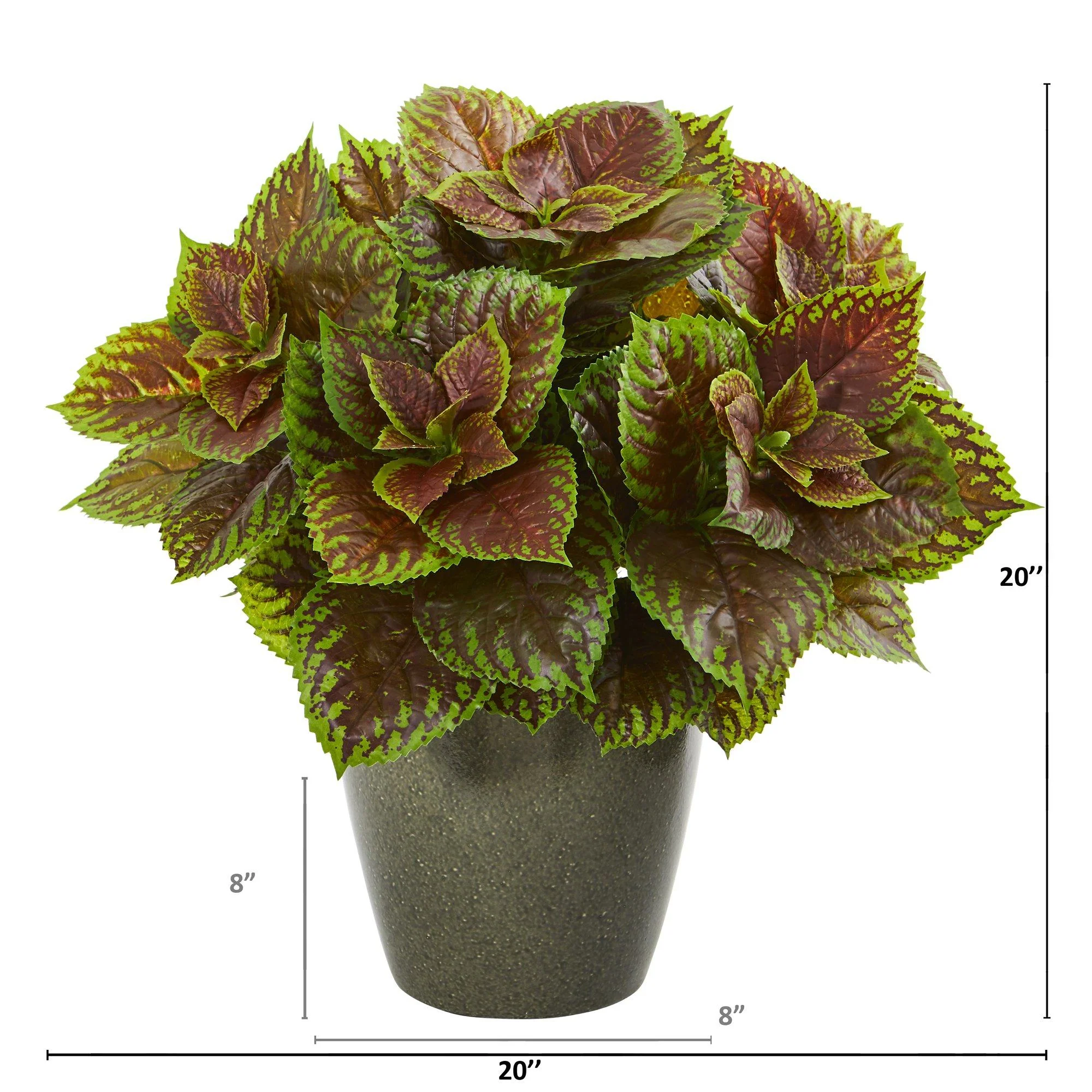 20” Coleus Artificial Plant in Green Planter (Real Touch) - Image 2