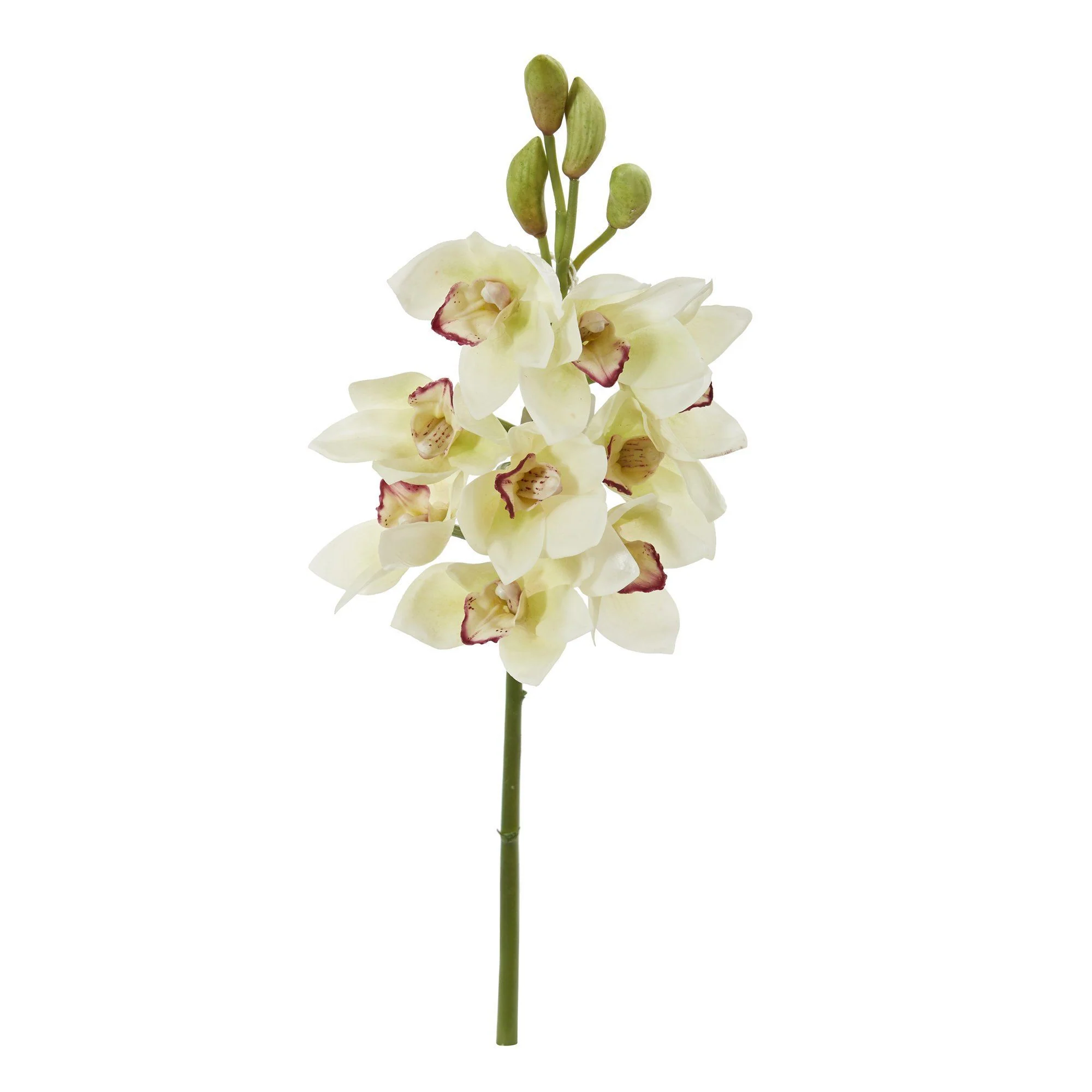 20” Cymbidium Orchid Artificial Flower (Set of 4) - Image 11