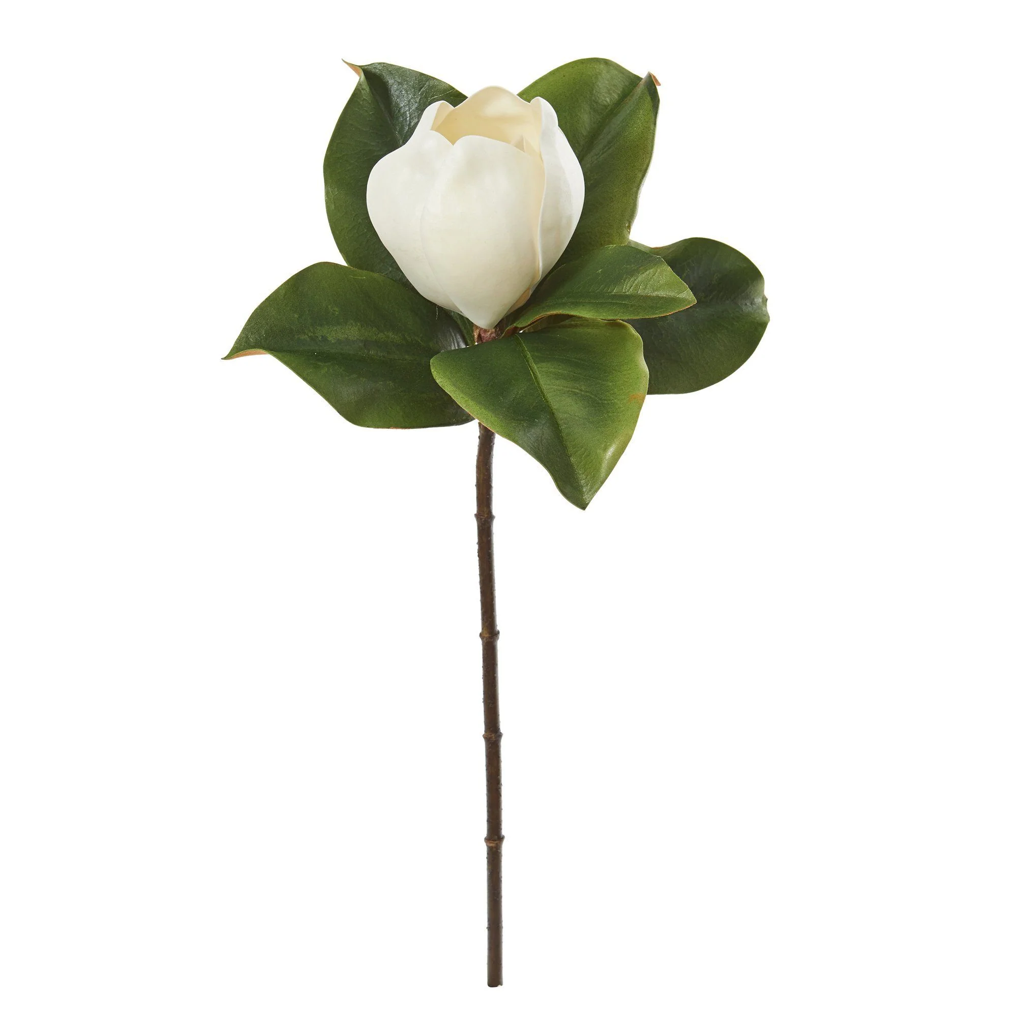 20” Magnolia Artificial Flower (Set of 6) - Image 2