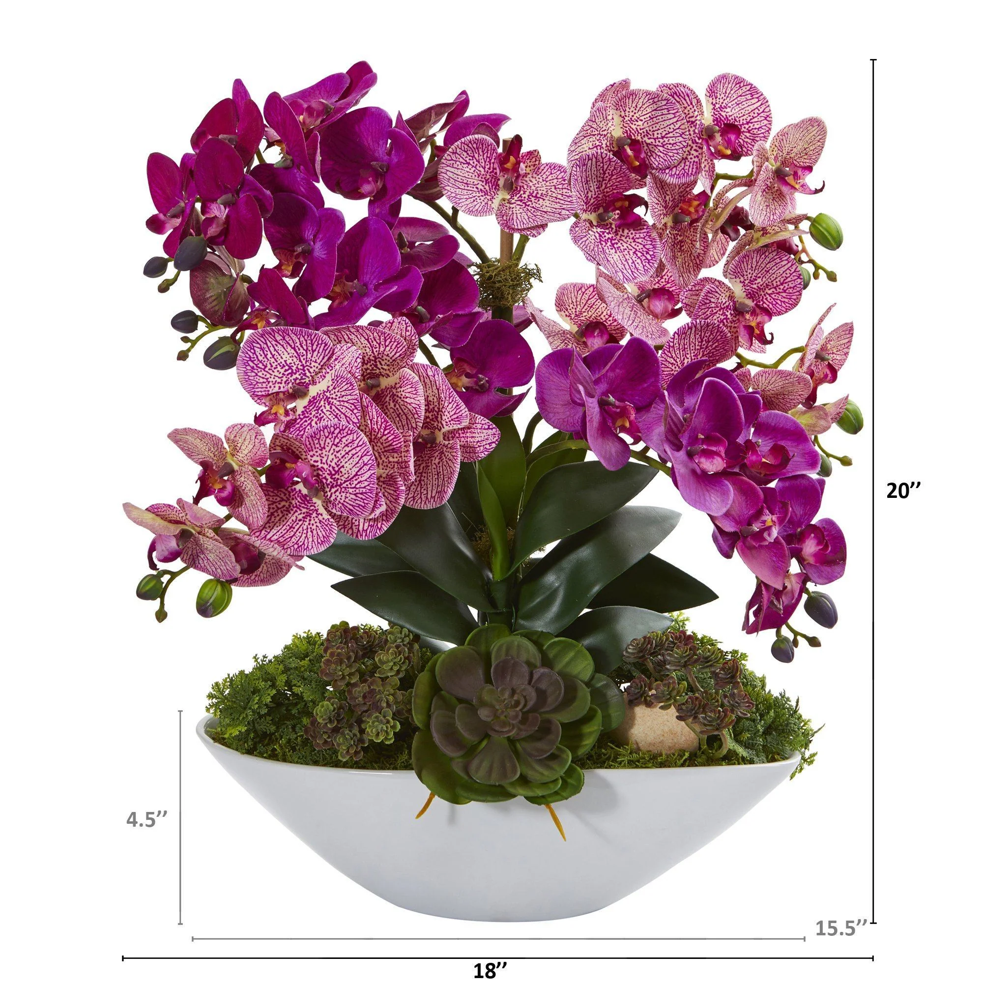 20” Phalaenopsis Orchid and Succulent Artificial Arrangement in White Vase - Image 2