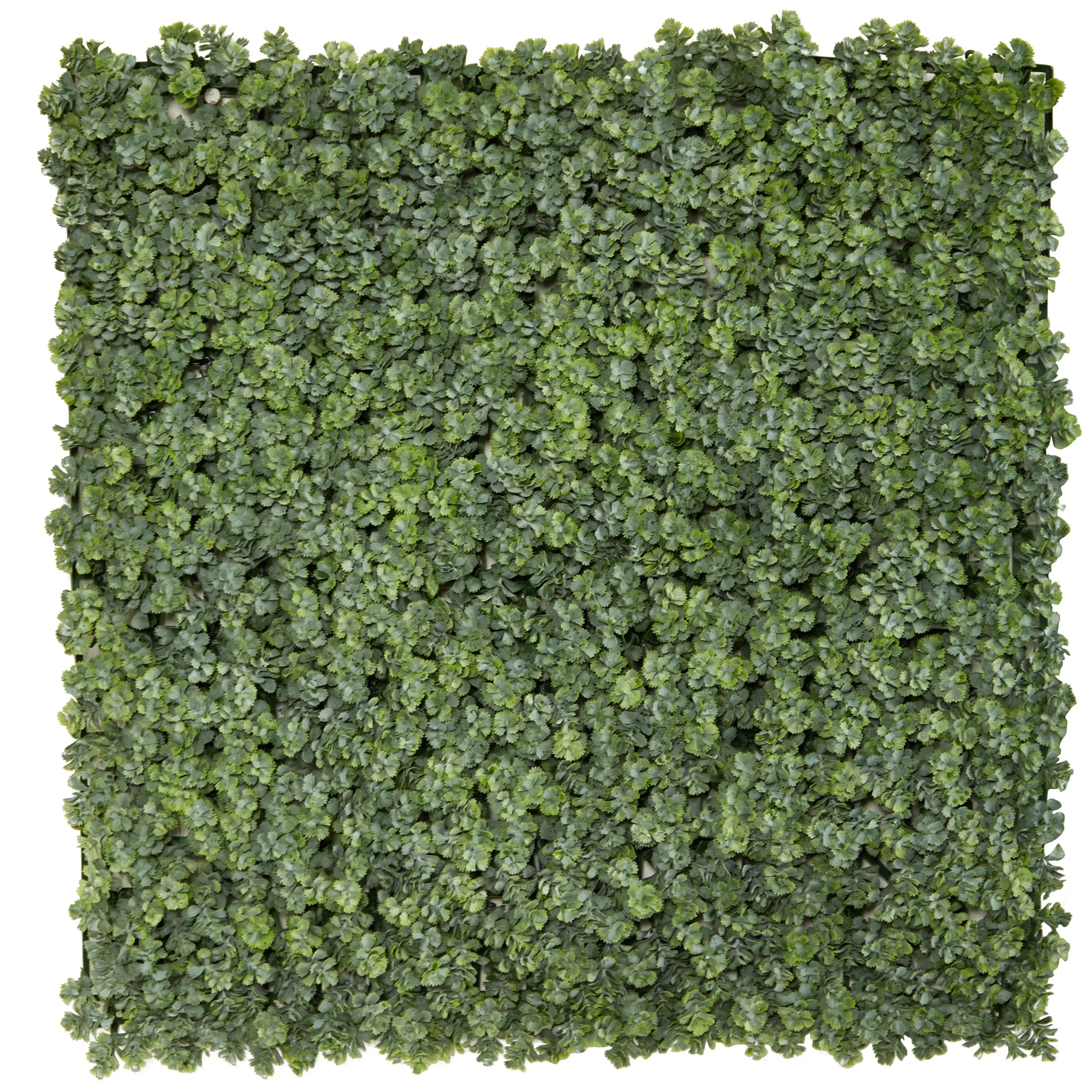 20” Succulent Artificial Wall Mat (Indoor/Outdoor) (Set of 2) - Image 2