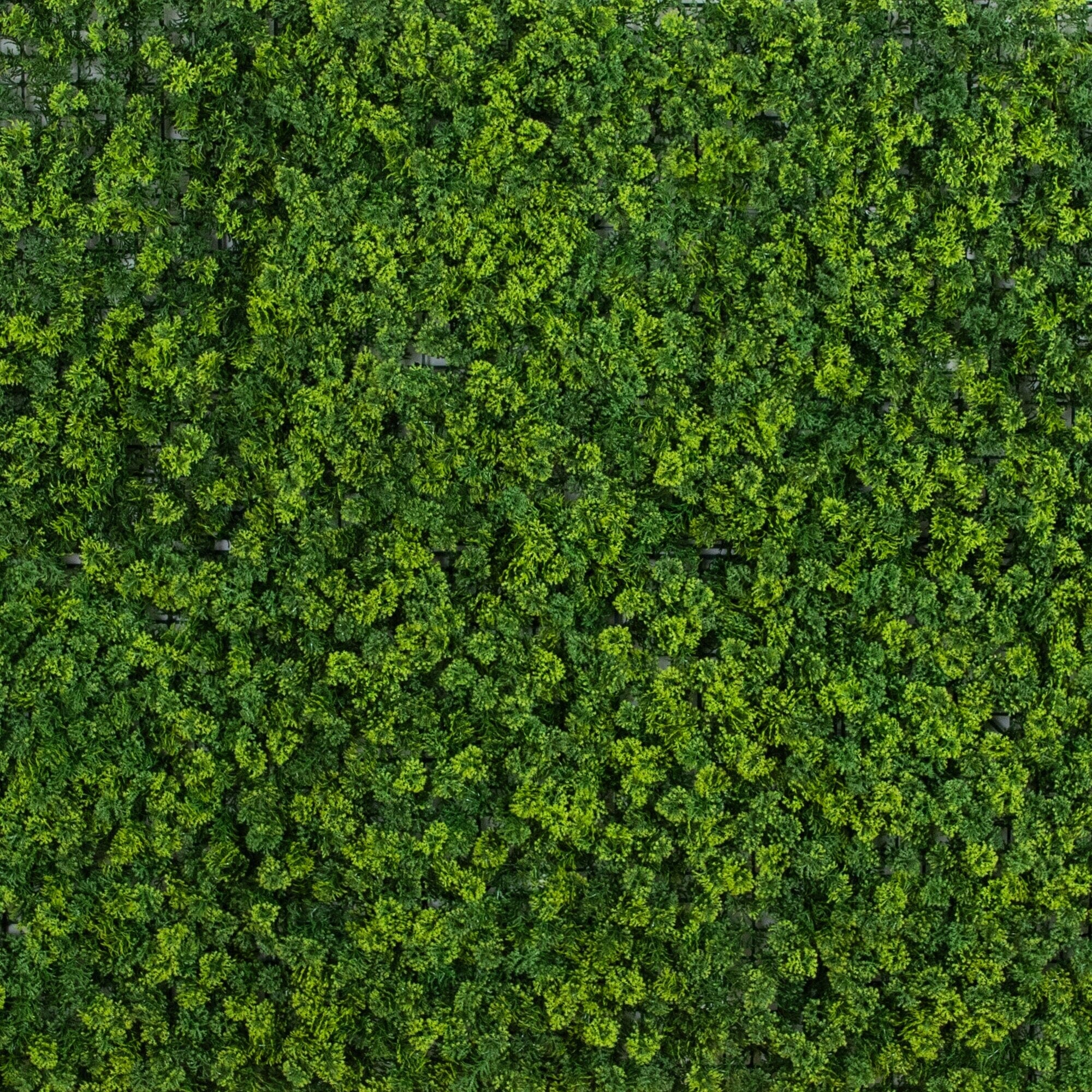 20” x 20” UV Resistant Irish Green Meadow Artificial Living Wall Panels (Indoor/Outdoor) - Set of 6 - Image 2
