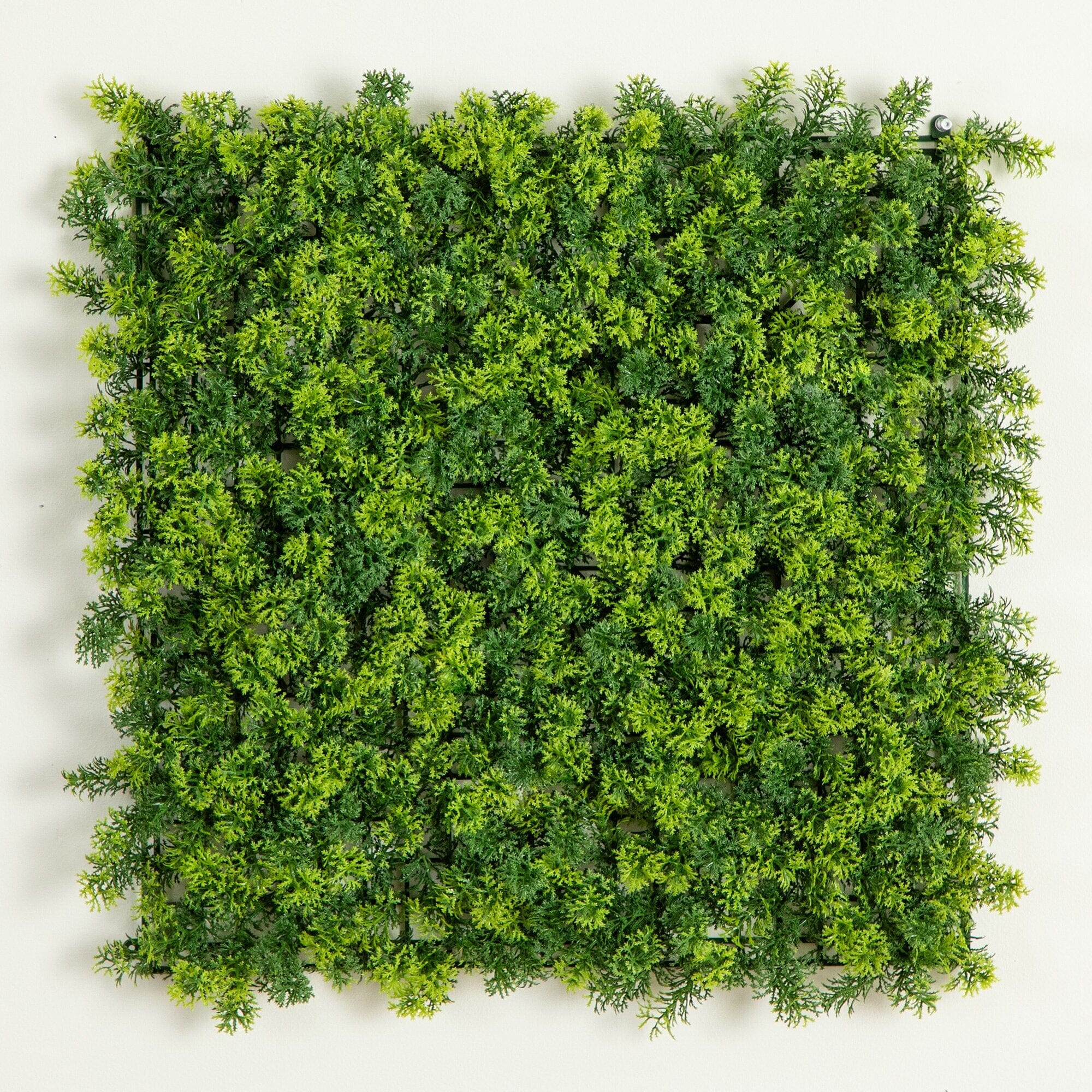 20” x 20” UV Resistant Irish Green Meadow Artificial Living Wall Panels (Indoor/Outdoor) - Set of 6 - Image 7