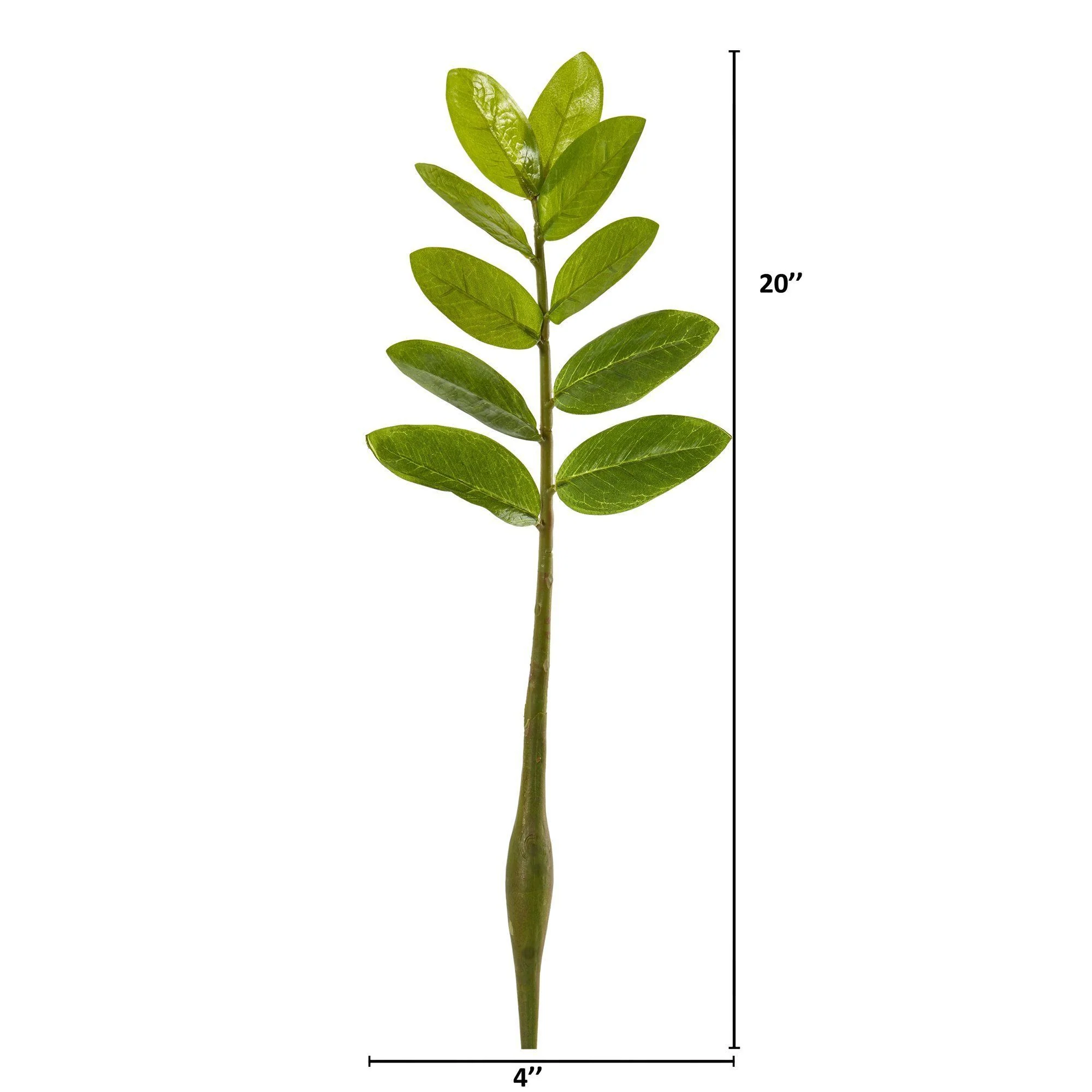 20” Zamioculcas Artificial Flower Stem (Set of 12) - Image 2