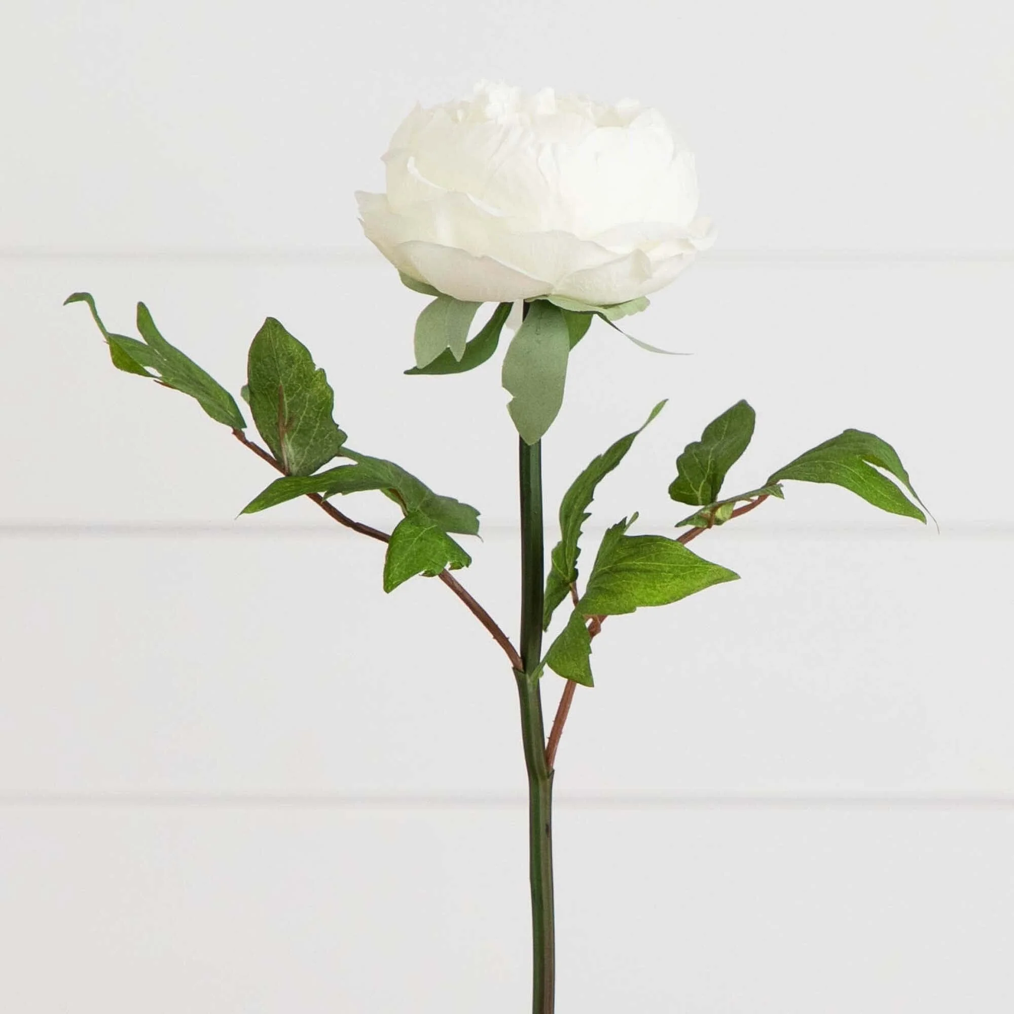 20"Artificial Peony Flower Stems - Set of 3 - Image 13