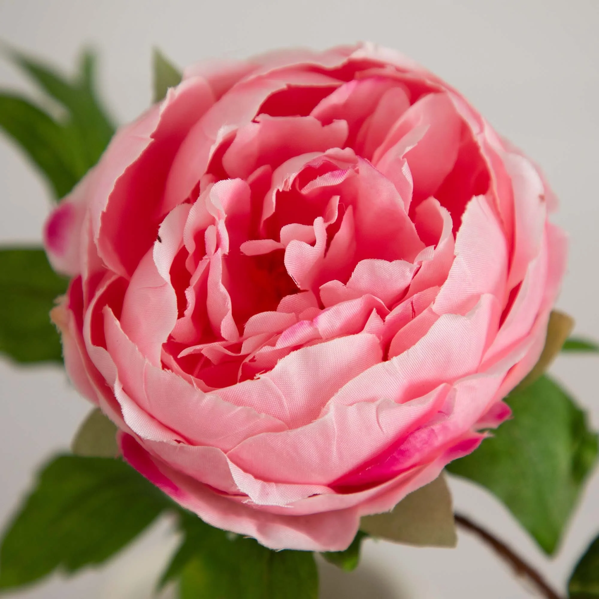 20"Artificial Peony Flower Stems - Set of 3 - Image 2