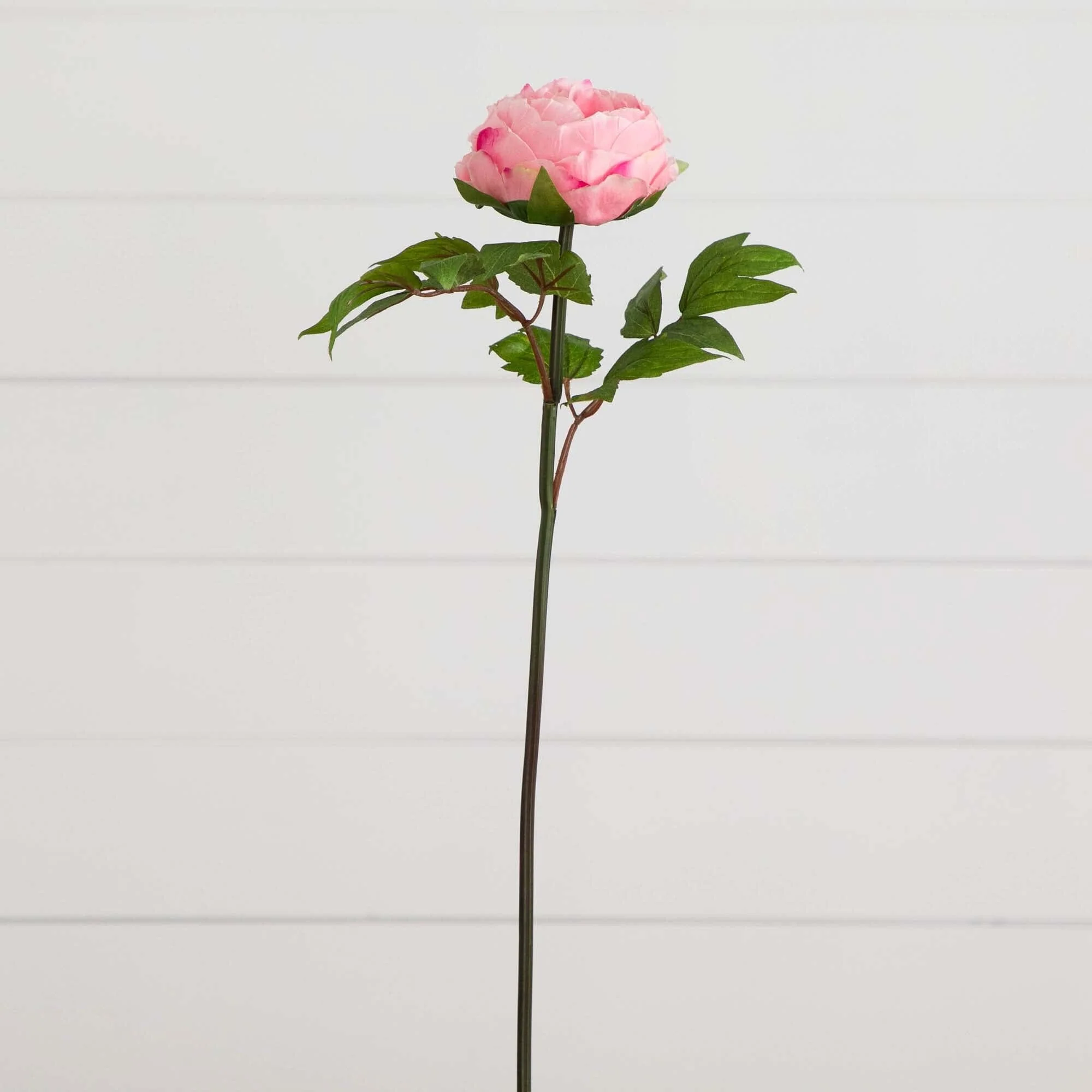20"Artificial Peony Flower Stems - Set of 3 - Image 7