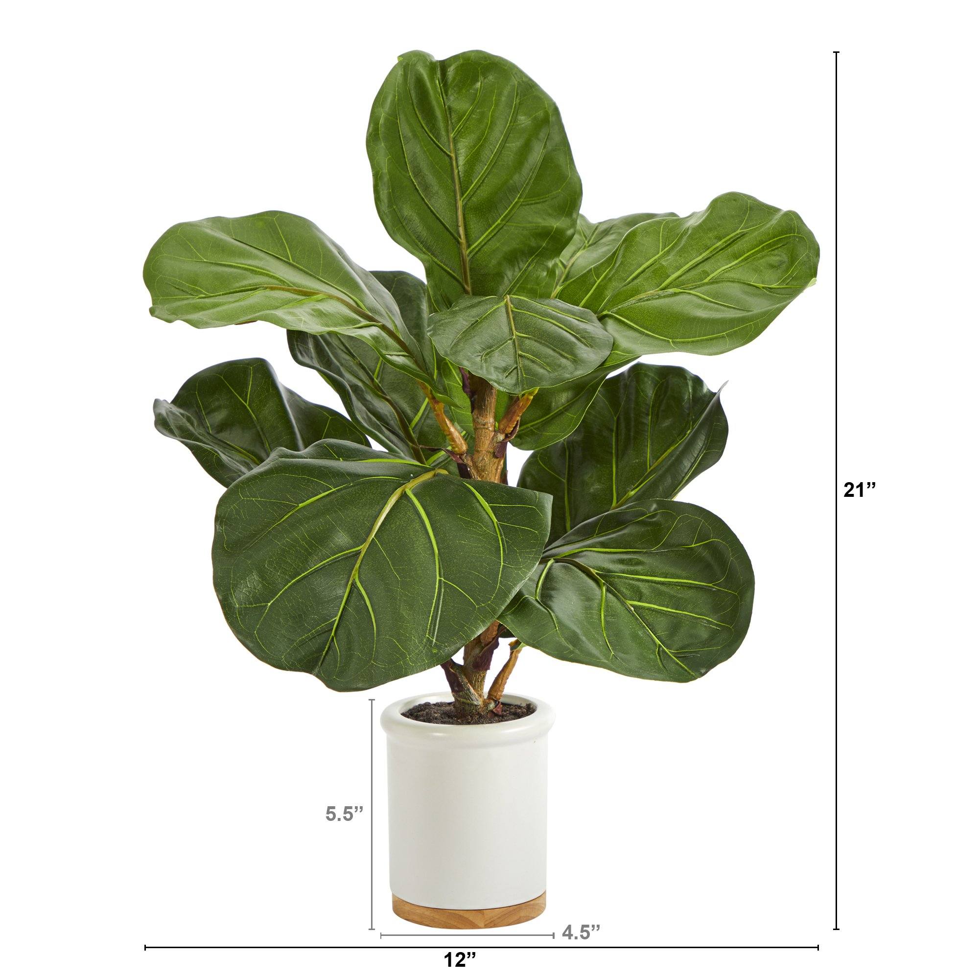 21” Fiddle Leaf Artificial Tree in White Ceramic Planter - Image 2