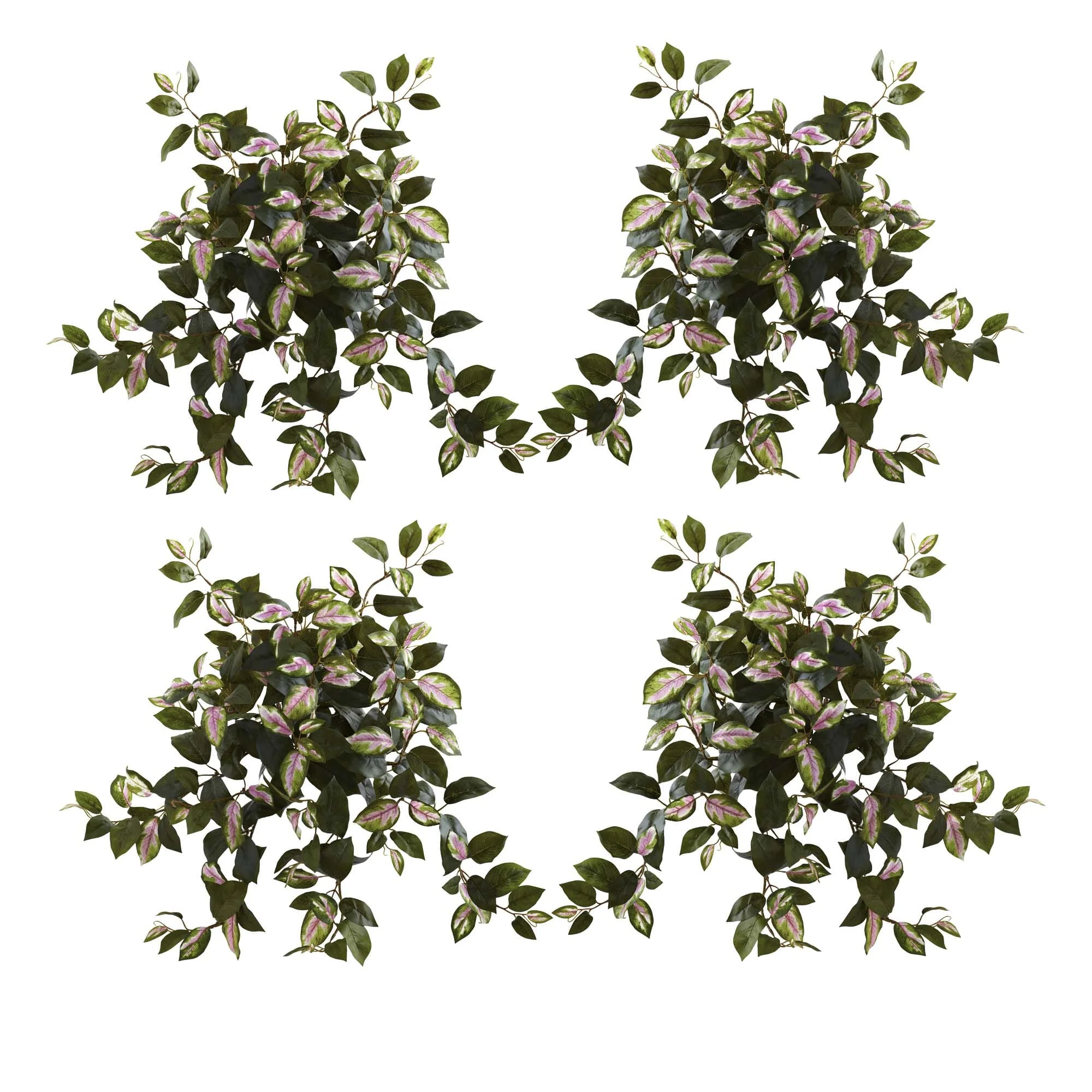 21” Hoya Hanging Bush (Set of 4) - Image 2
