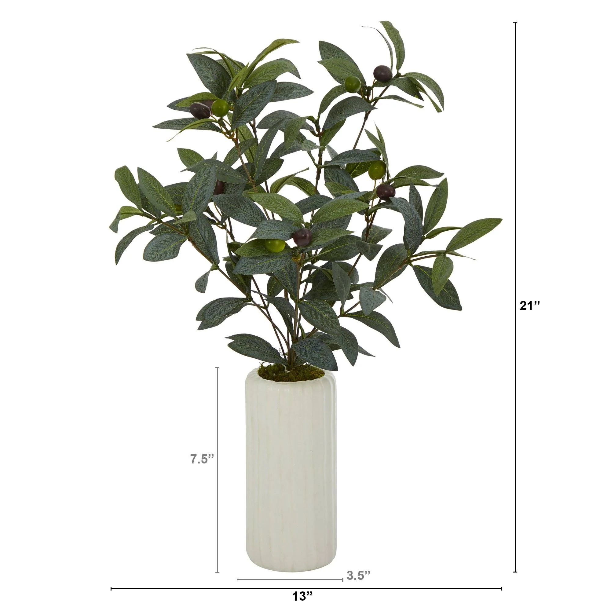 21” Olive Artificial Plant in White Planter - Image 2