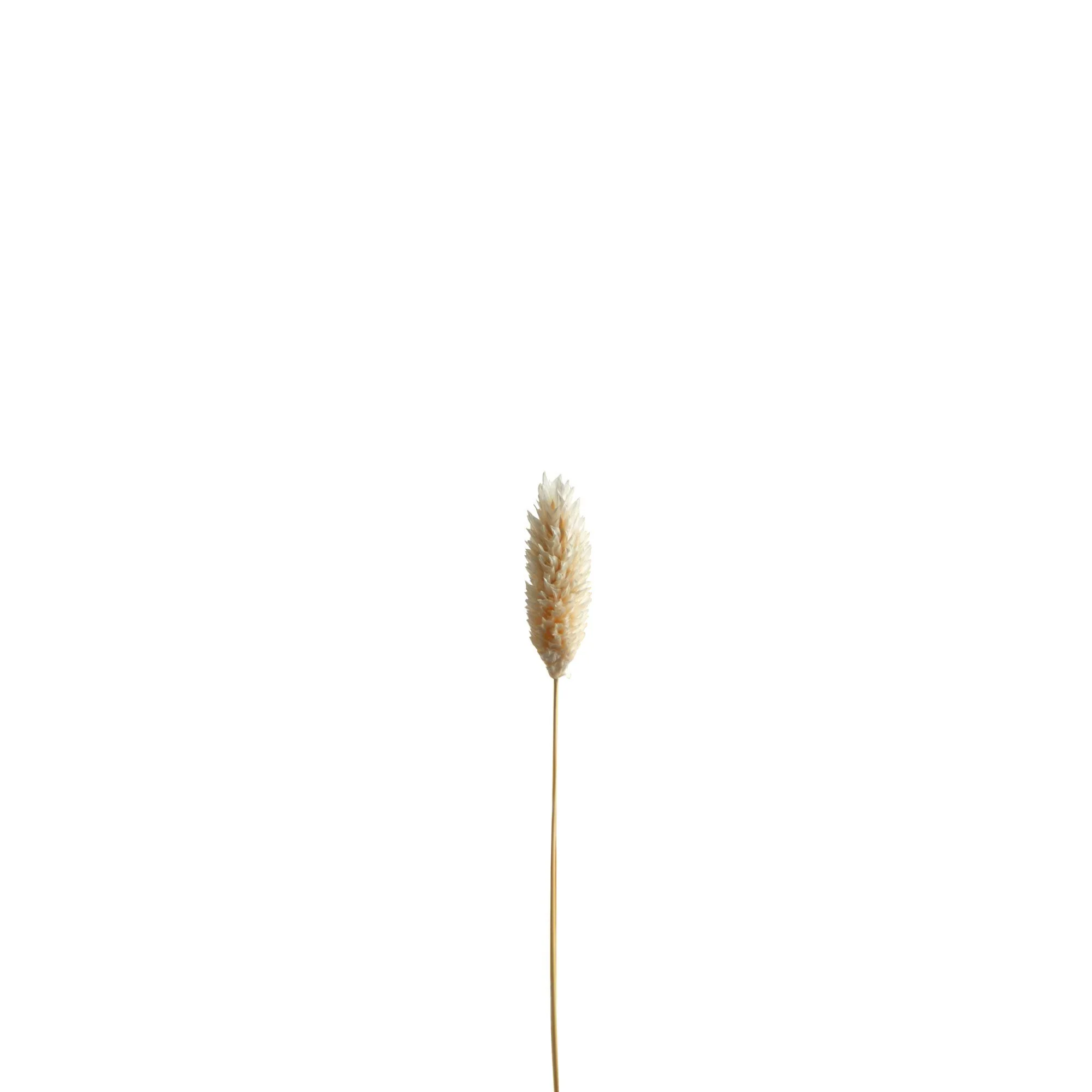22” Dried Wheat Stalks Artificial Flower (Set of 2) - Image 3