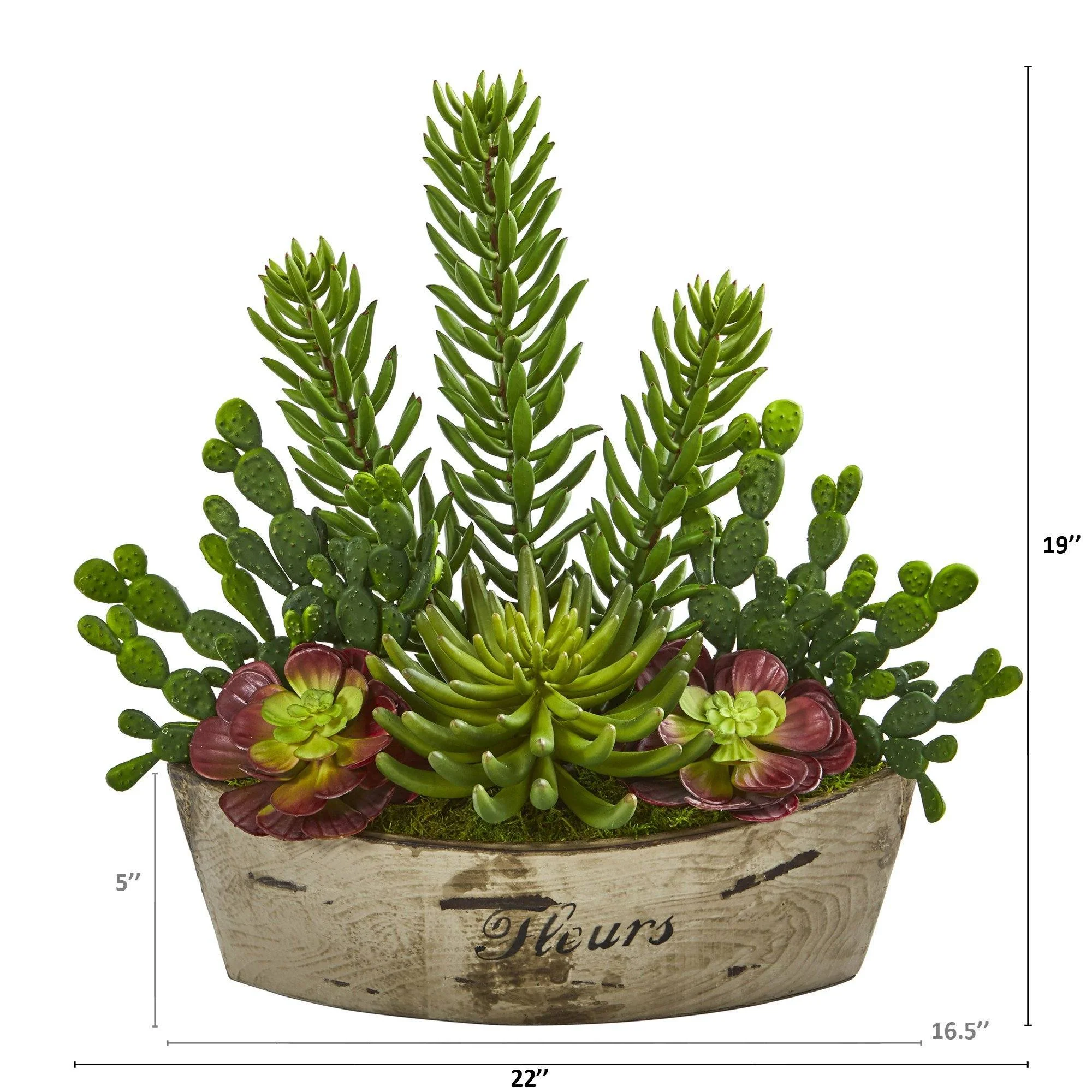 22” Echeveria and Cactus Succulent Artificial Plant in Decorative Planter - Image 2