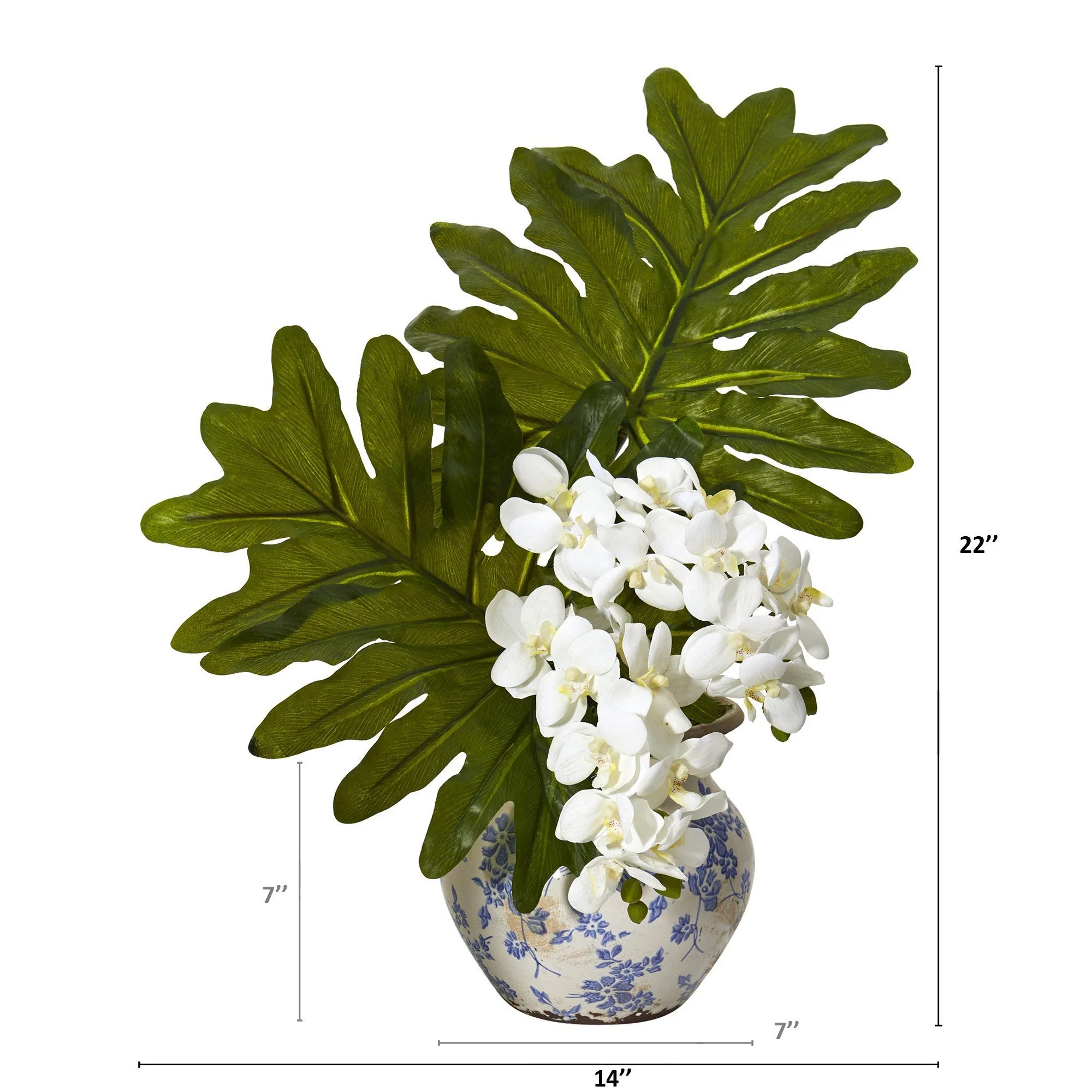 22” Phalaenopsis Orchid and Philo Leaf Arrangement in Vase - Image 4