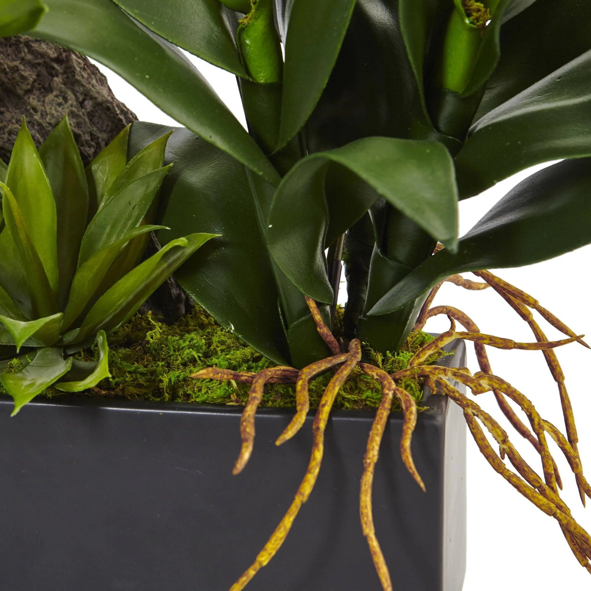 Dendrobium and Bromeliad Arrangement - Image 4