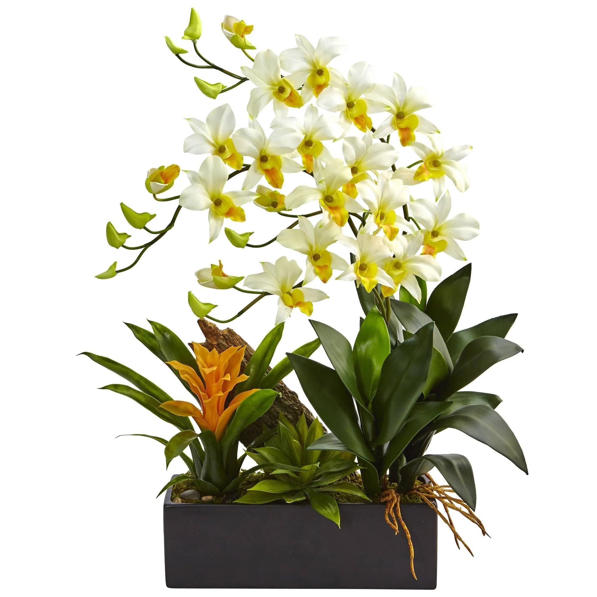Dendrobium and Bromeliad Arrangement - Image 5