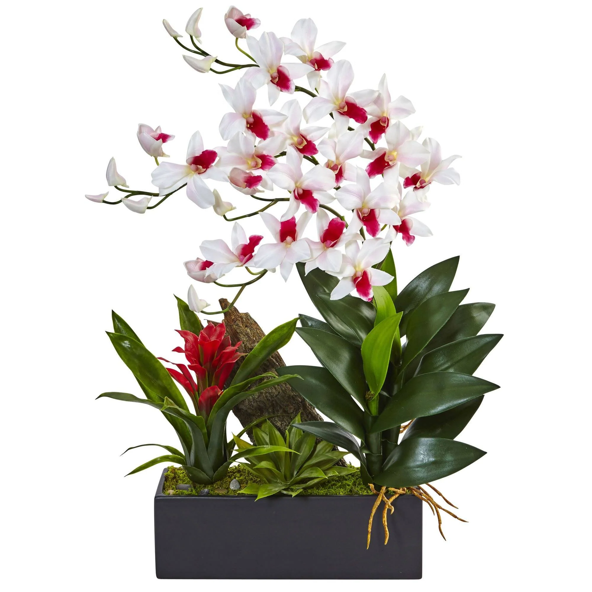 Dendrobium and Bromeliad Arrangement - Image 8