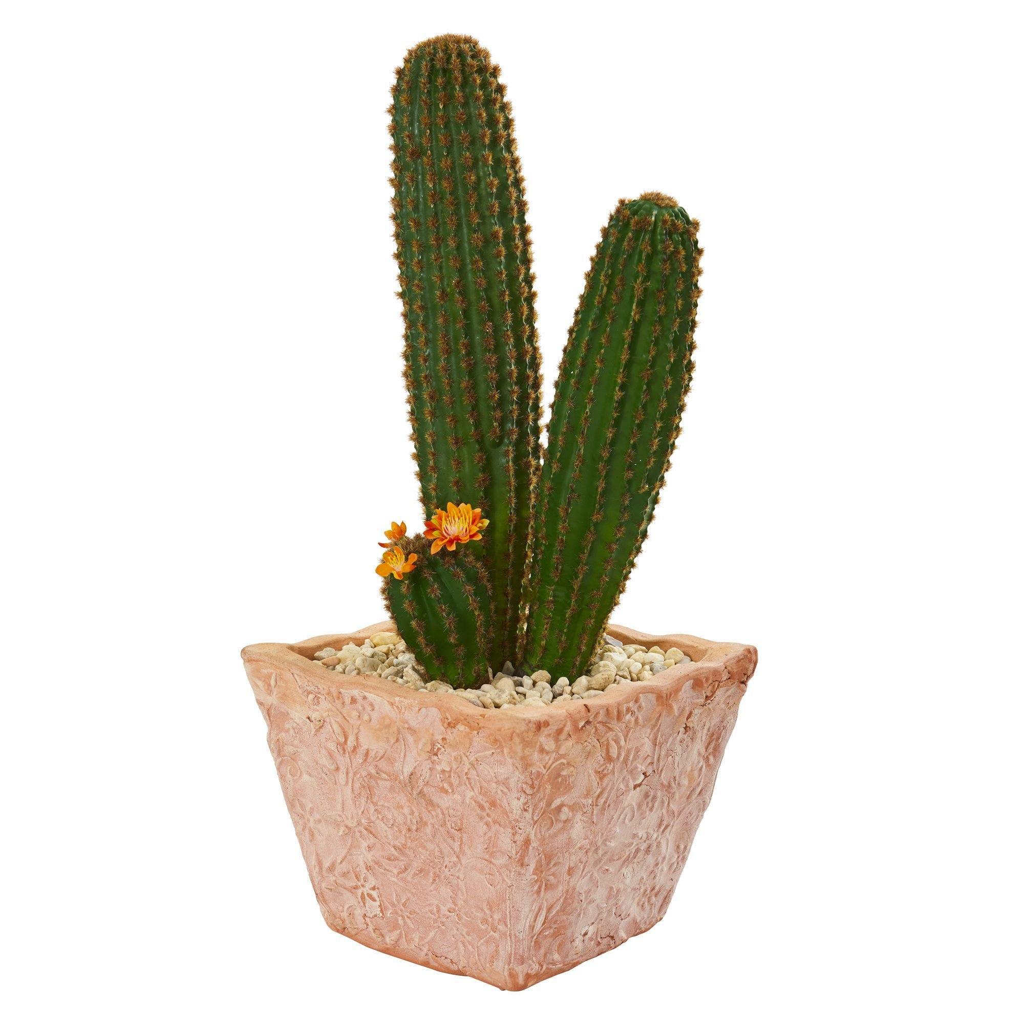23” Cactus Succulent Artificial Plant in Terra Cotta Planter - Image 2