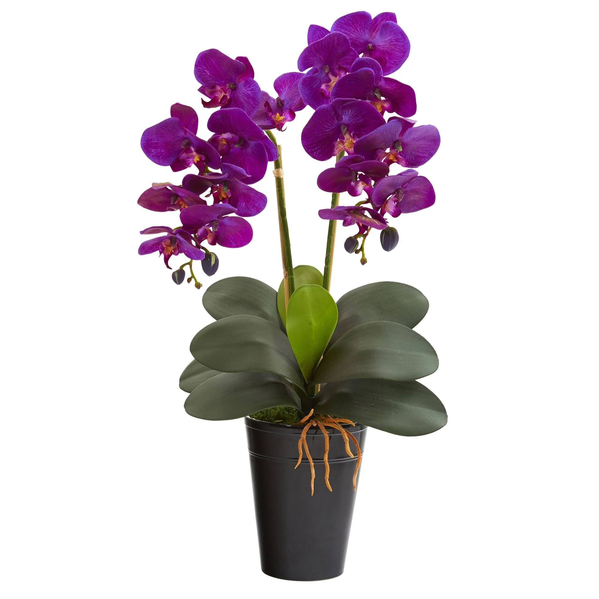 23” Double Phalaenopsis Orchid Artificial Arrangement in Vase - Image 11