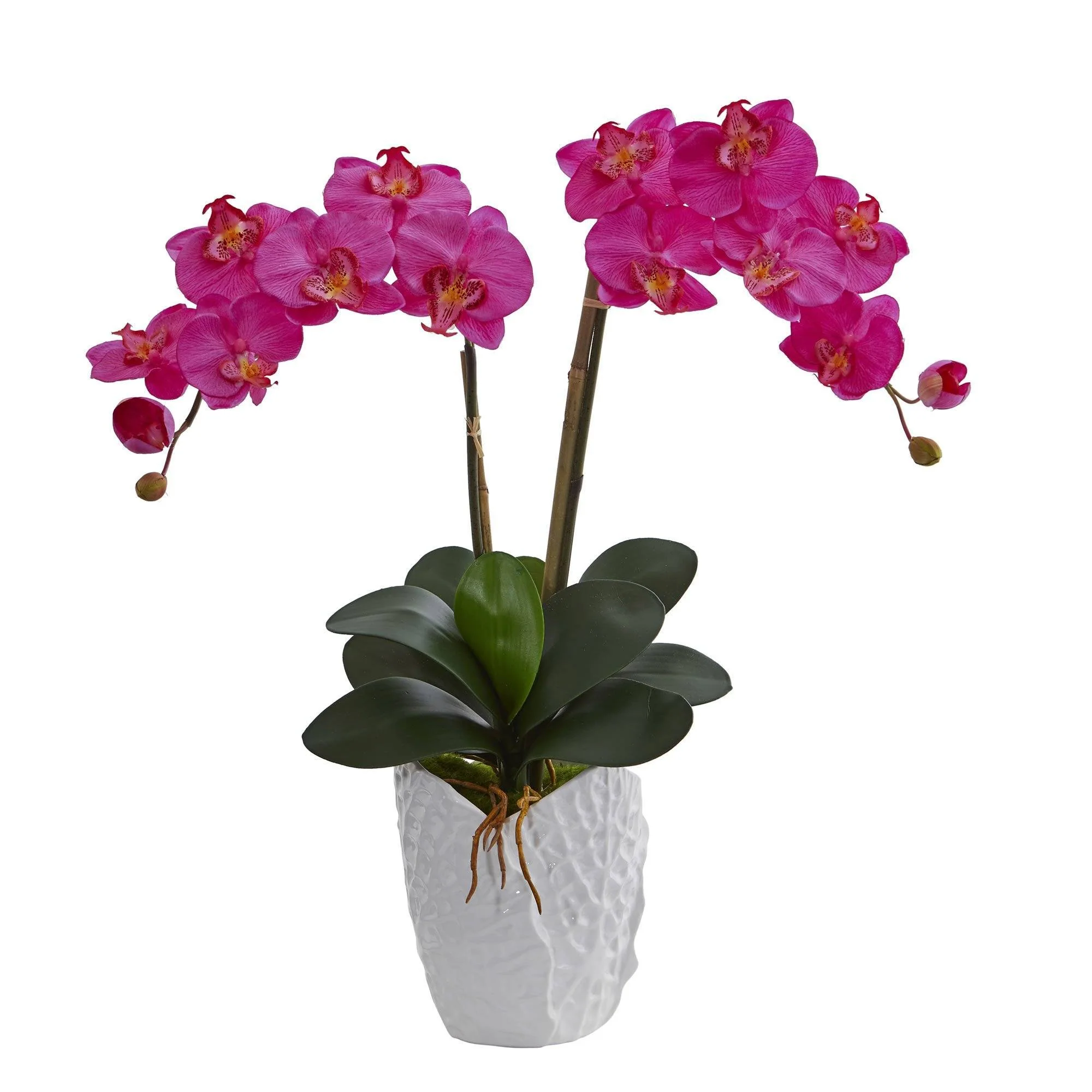 Double Phalaenopsis Orchid in White Vase - Image 4