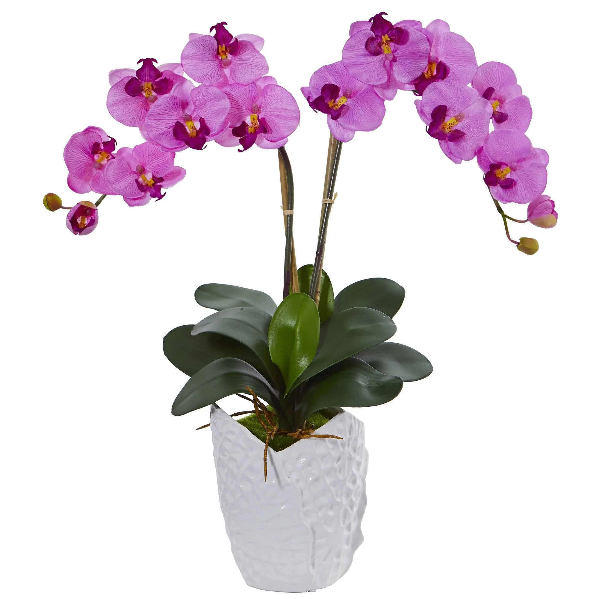 Double Phalaenopsis Orchid in White Vase - Image 6