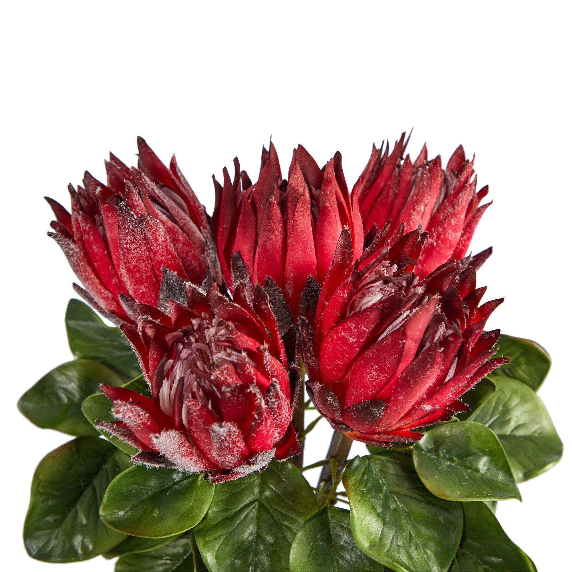 23” King Protea Artificial Arrangement in Glass Vase - Image 4