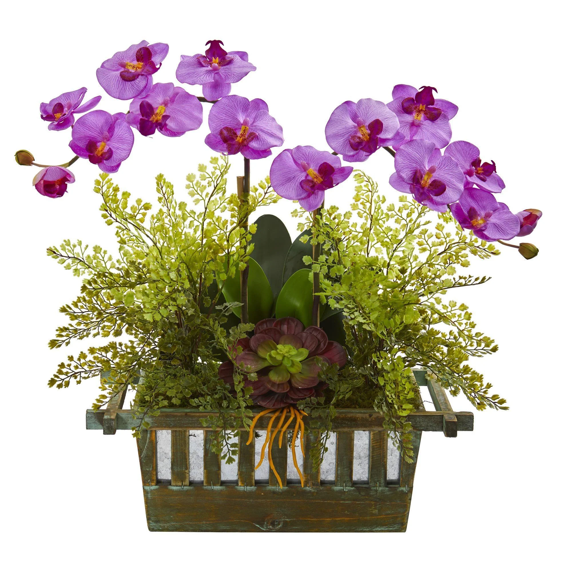 Orchid, Succulent and Maiden Hair Artificial Arrangement - Image 2