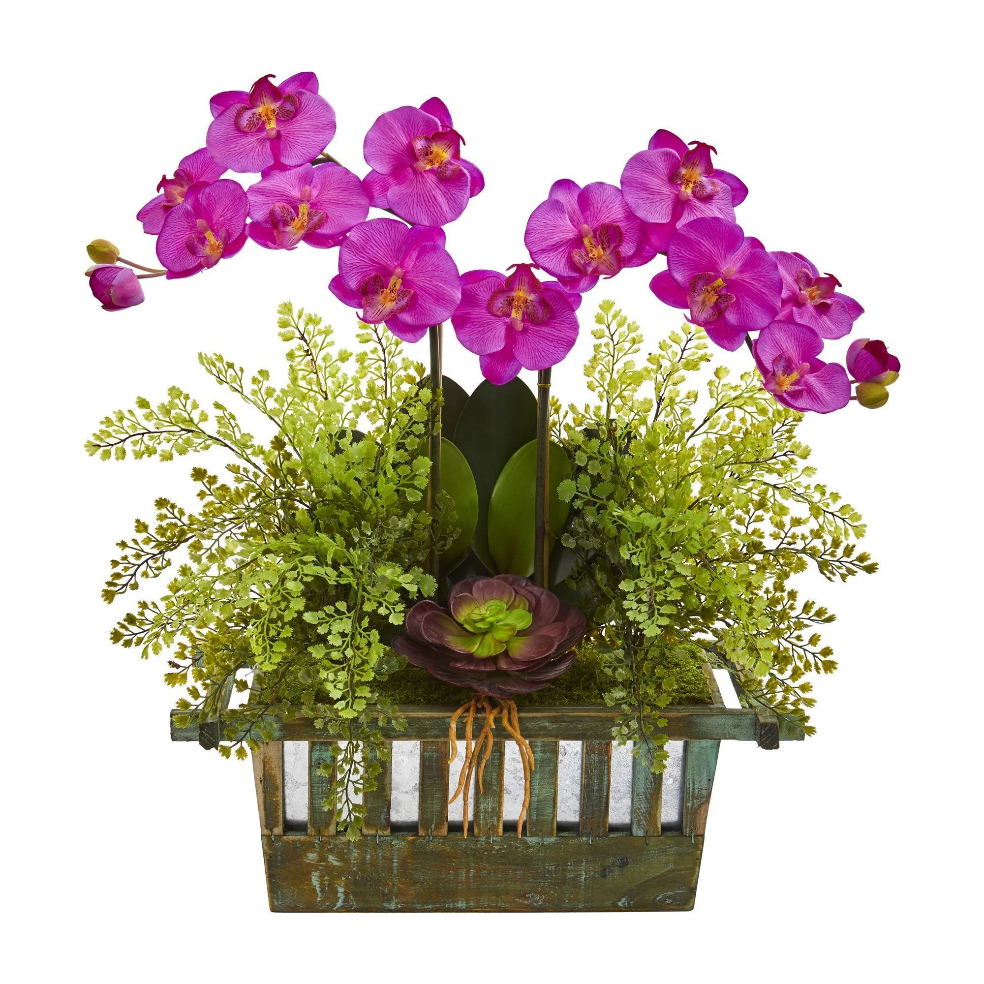 Orchid, Succulent and Maiden Hair Artificial Arrangement - Image 3