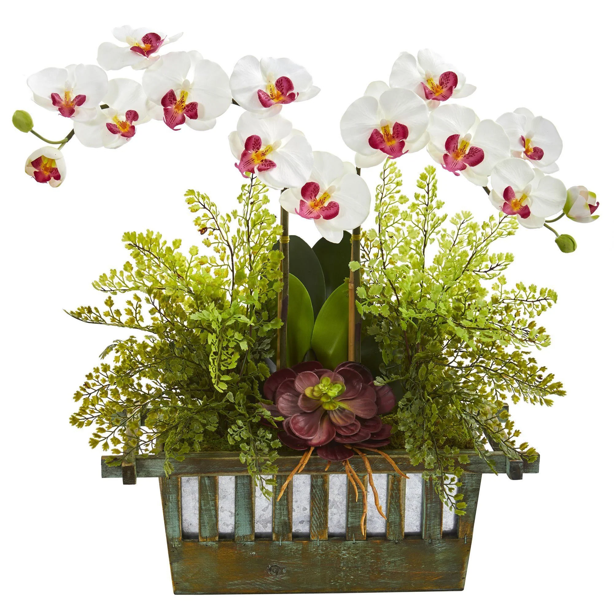 Orchid, Succulent and Maiden Hair Artificial Arrangement - Image 4