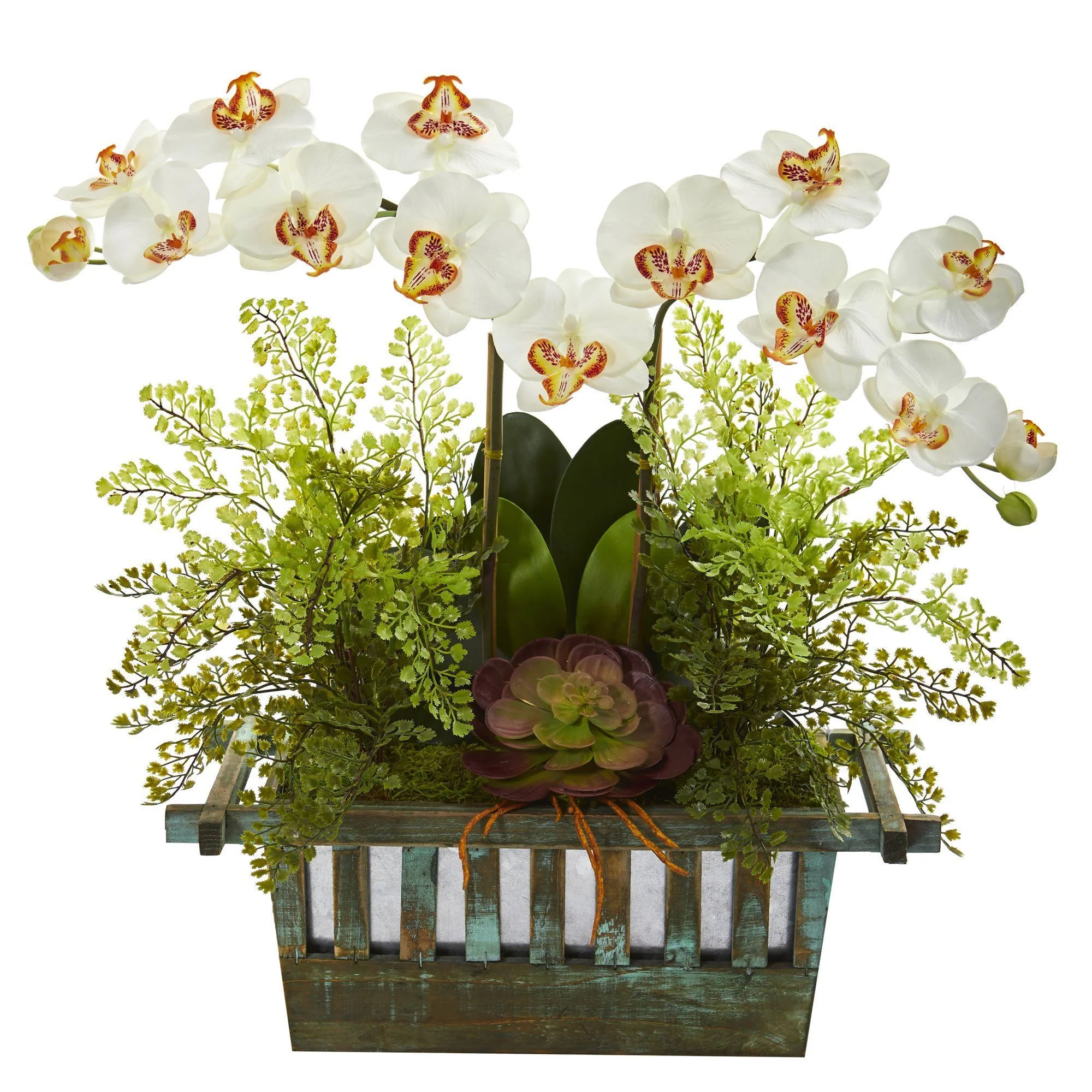 Orchid, Succulent and Maiden Hair Artificial Arrangement - Image 5