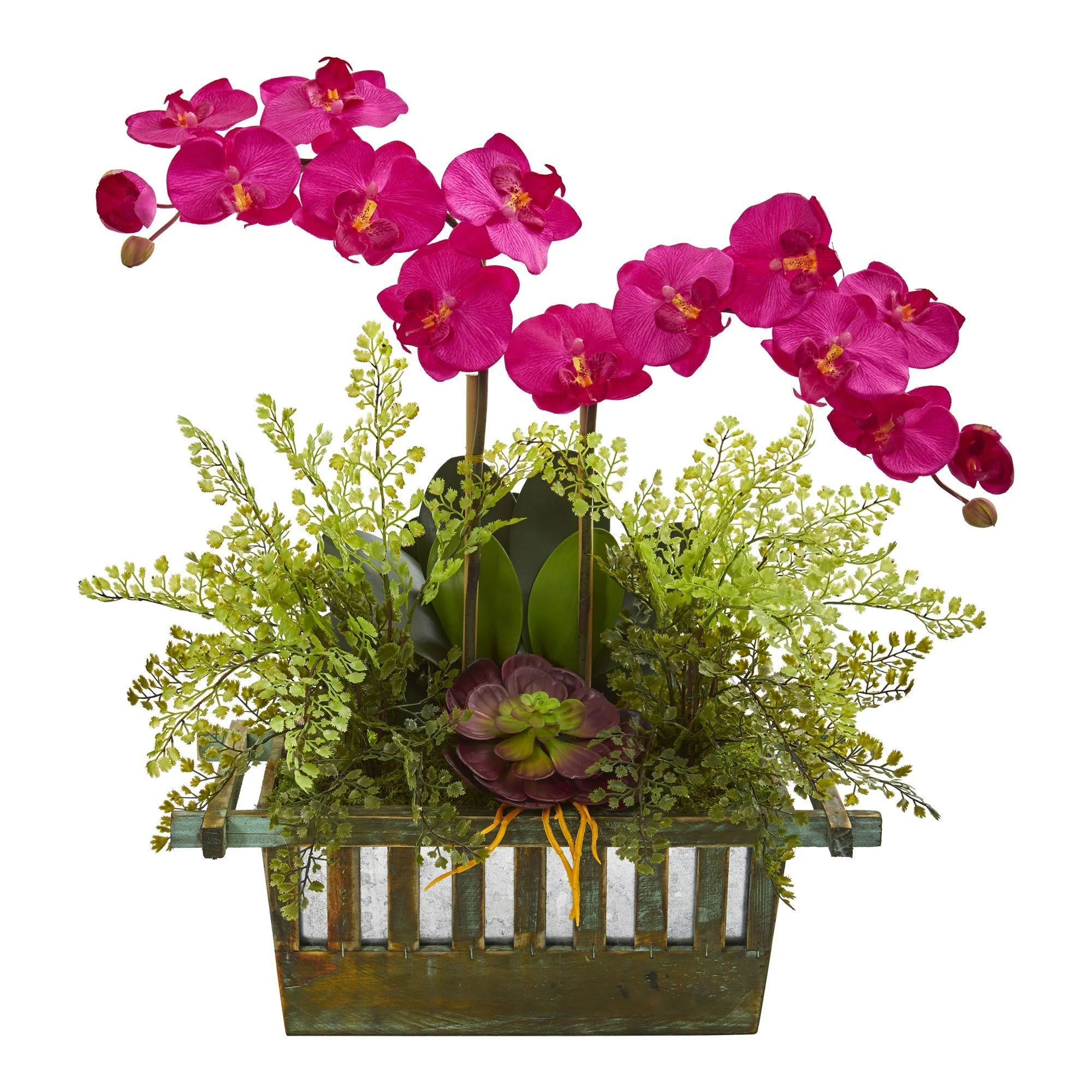 Orchid, Succulent and Maiden Hair Artificial Arrangement - Image 6