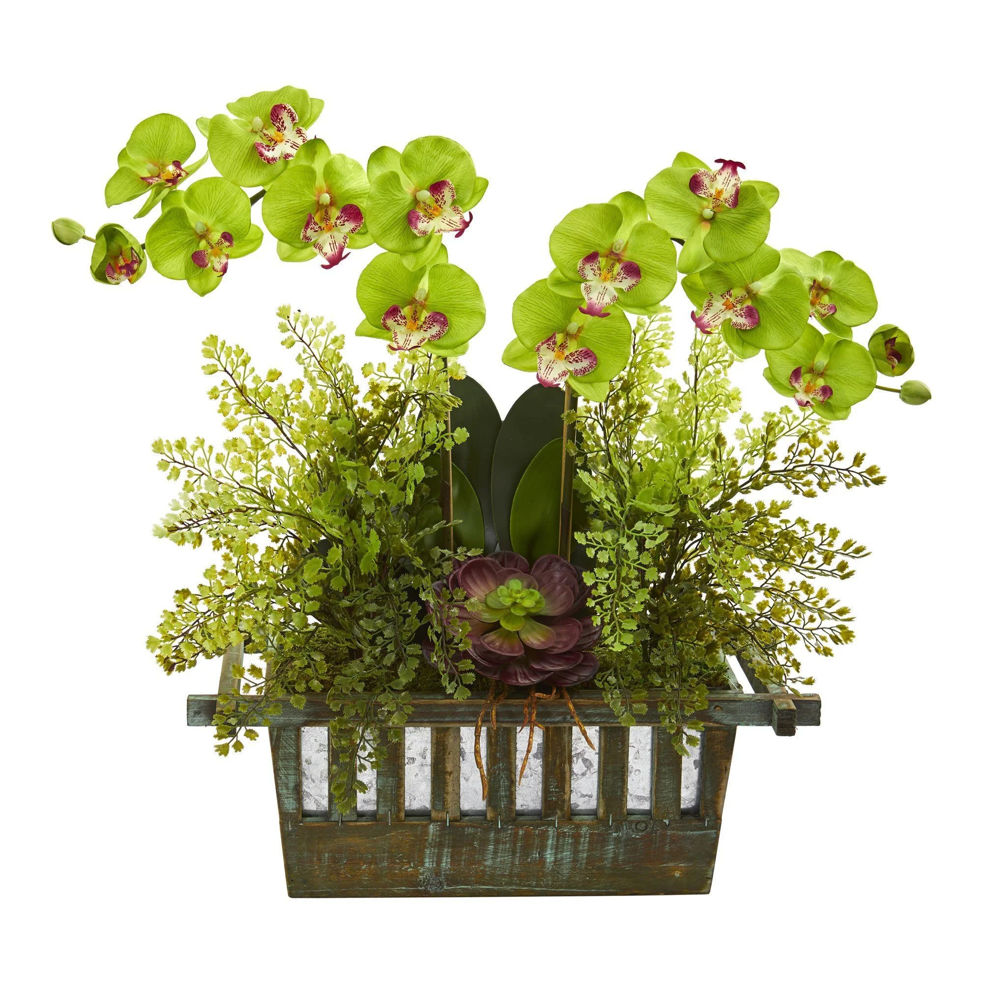 Orchid, Succulent and Maiden Hair Artificial Arrangement - Image 7