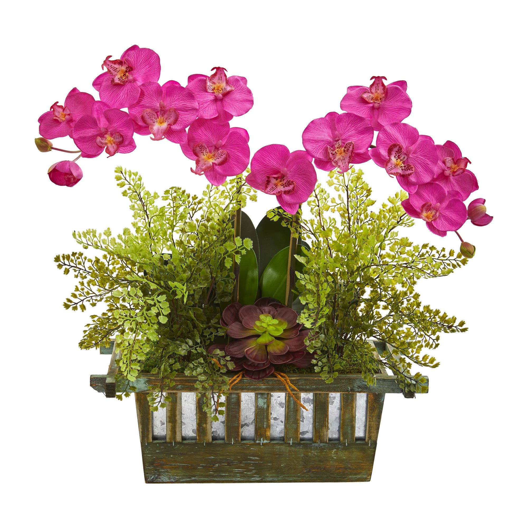 Orchid, Succulent and Maiden Hair Artificial Arrangement - Image 8
