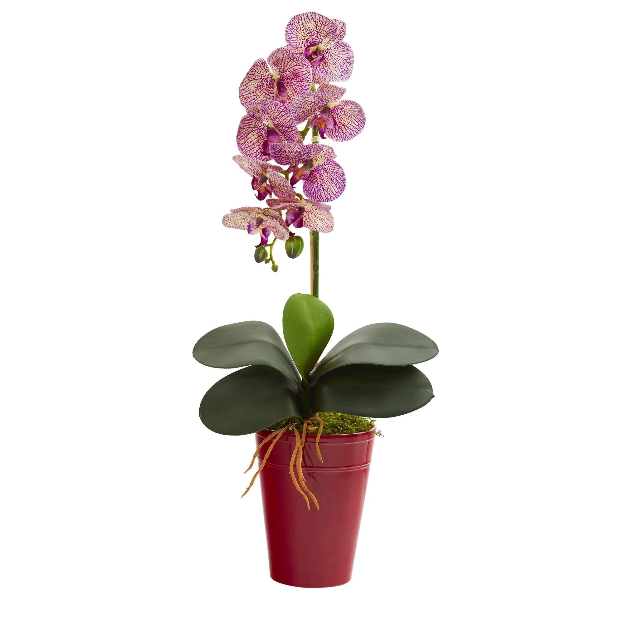 23” Phalaenopsis Orchid Artificial Arrangement in Vase - Image 2
