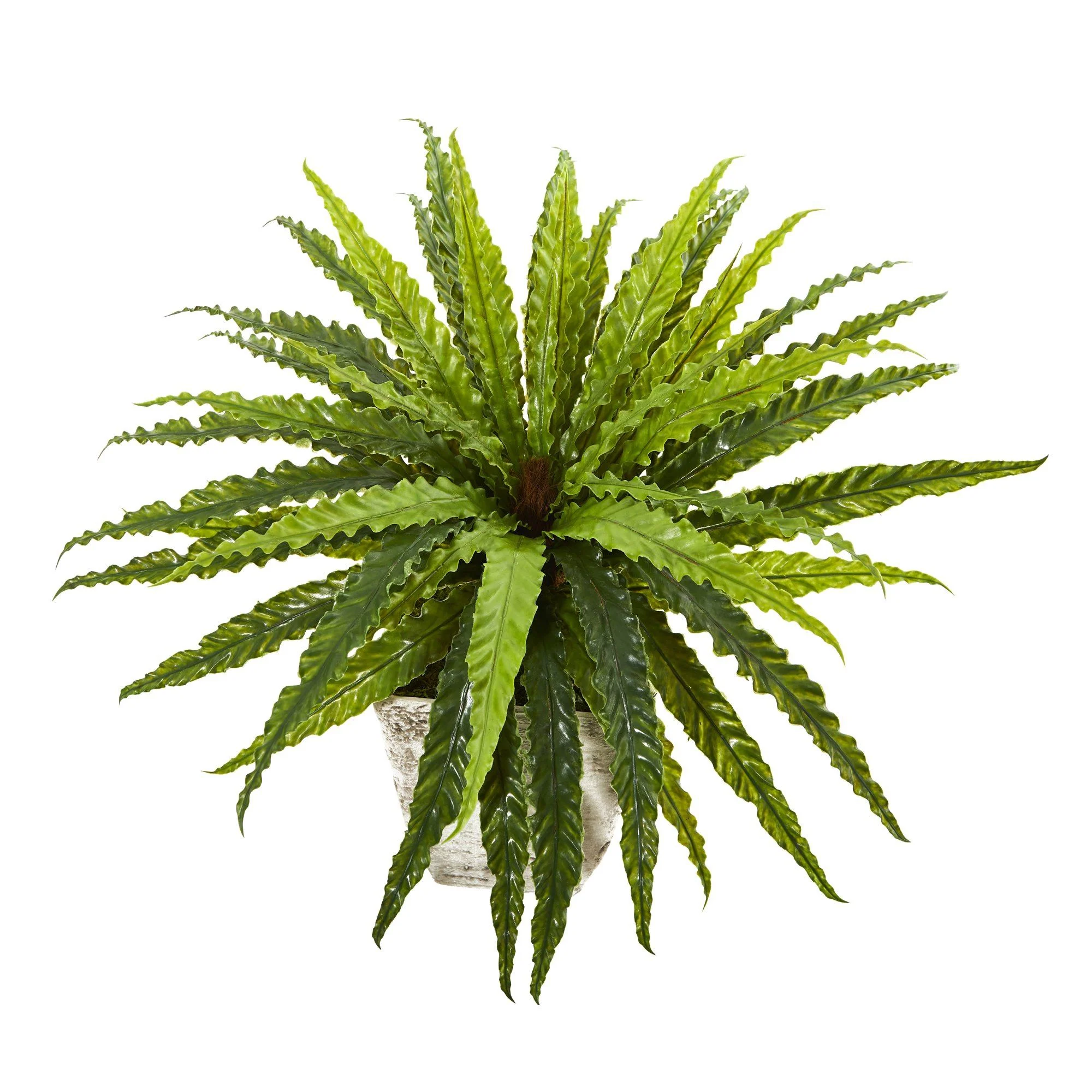 24” Asplenium Artificial Plant in Country White Planter - Image 3