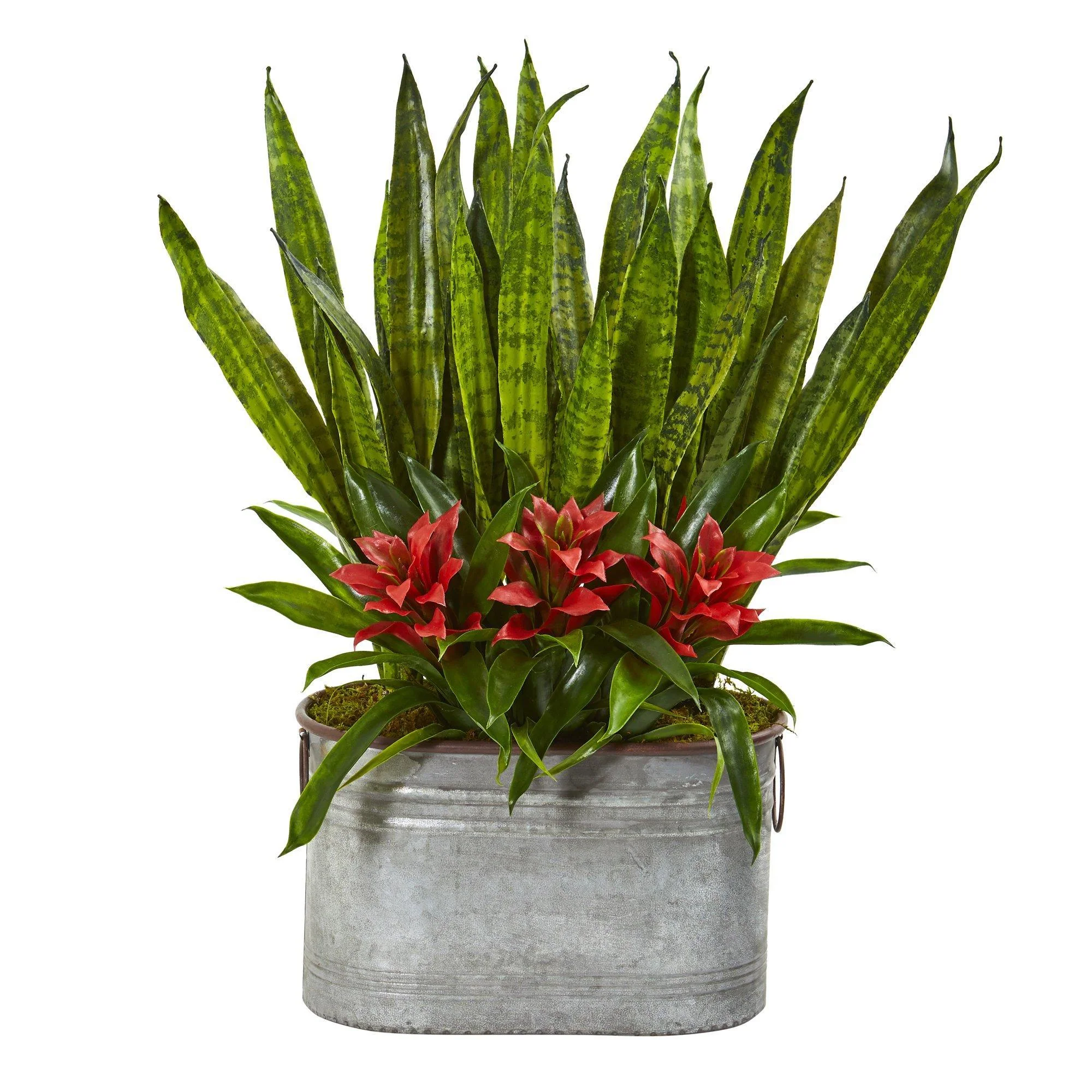 24” Bromeliad and Sansevieria Plant in Metal Planter - Image 3