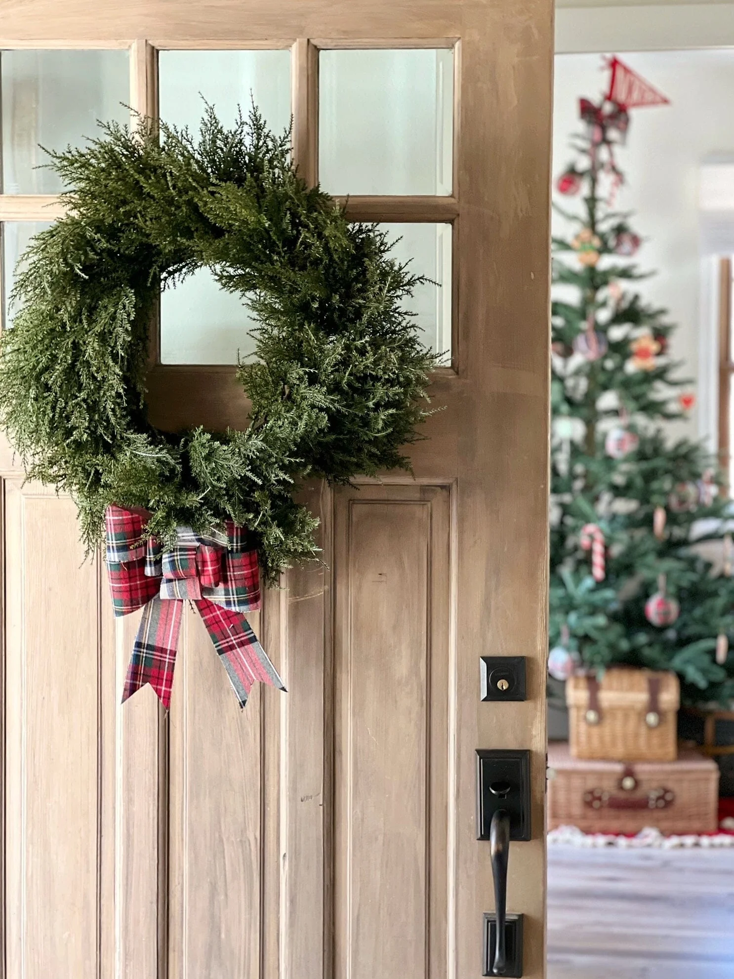 24” Cedar Wreath - Image 3