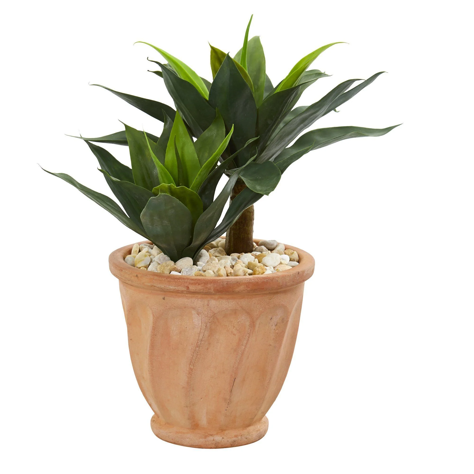 24” Double Agave Artificial Plant in Terra Cotta Planter - Image 2