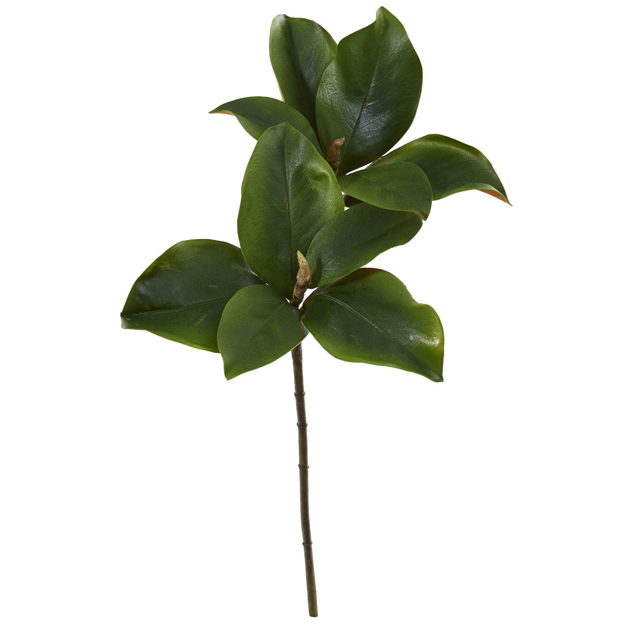 24” Magnolia Artificial Leaf (Set of 6) - Image 2
