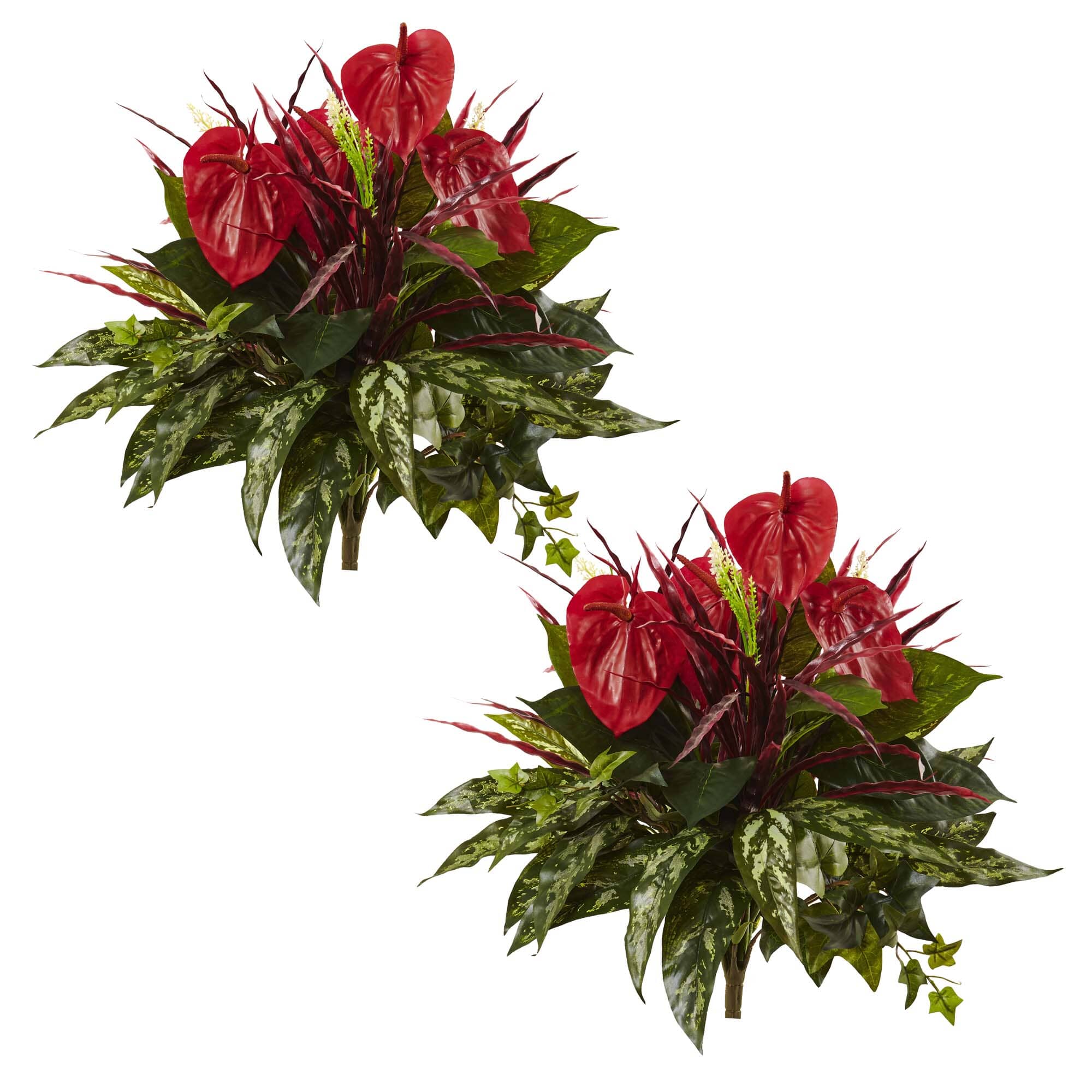 24” Mixed Anthurium Bush (Set of 2) - Image 2