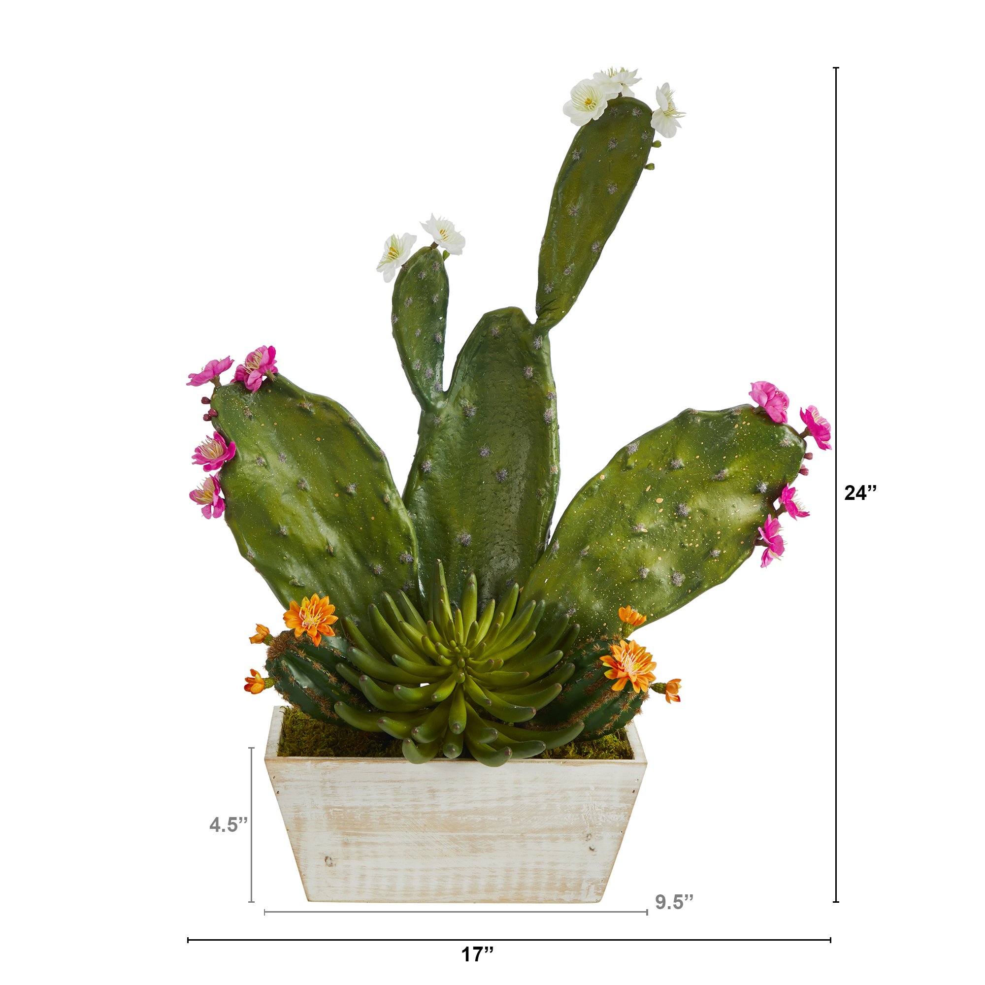 24” Mixed Cactus Succulent Artificial Plant in White Wash Planter - Image 2