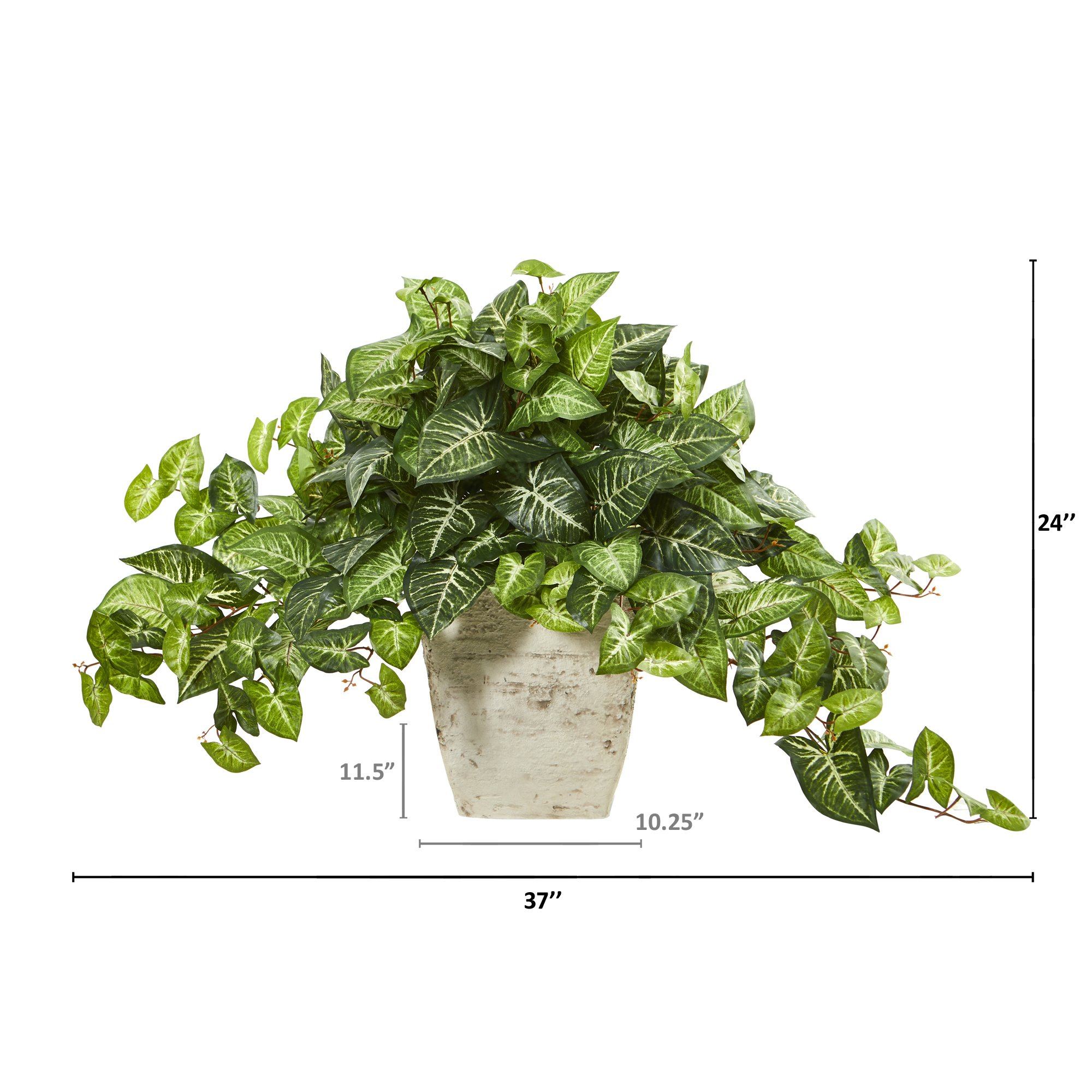 24” Nepthytis Artificial Plant in Country White Planter - Image 2