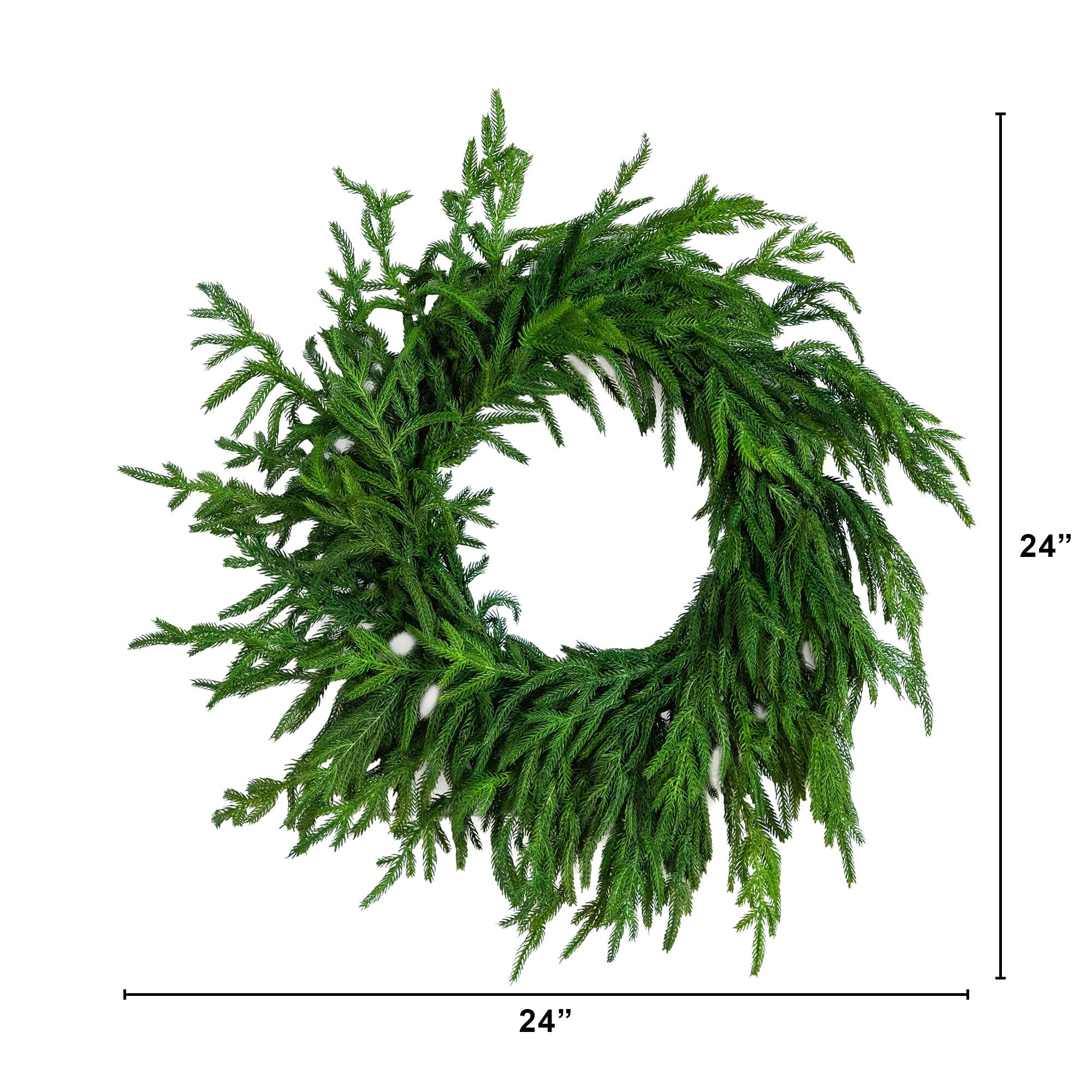 24" Artificial Real Touch Norfolk Island Pine Wreath with Natural Look - Image 5