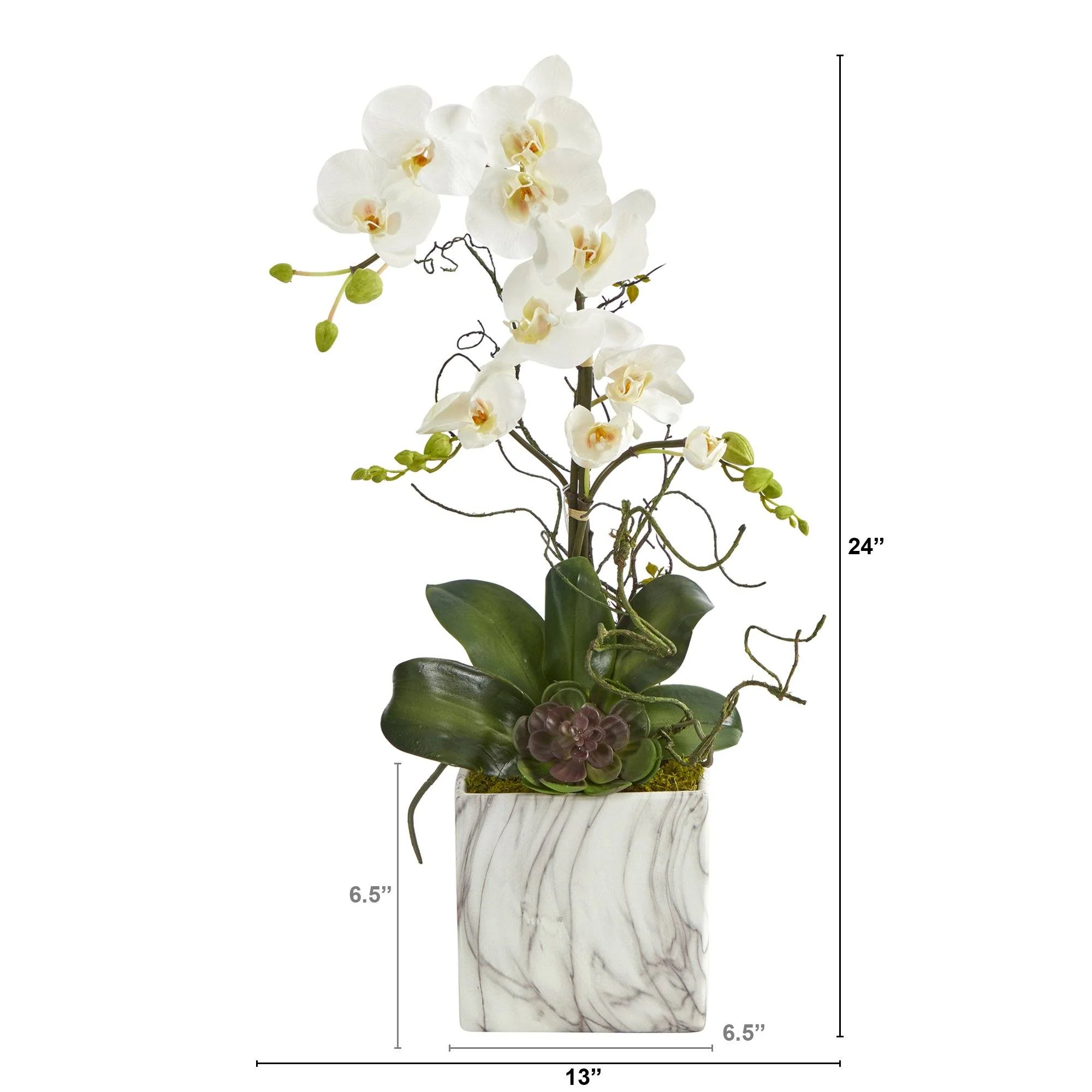24” Phalaenopsis Orchid and Echeveria Succulent Artificial Arrangement in Marble Finished Vase - Image 2