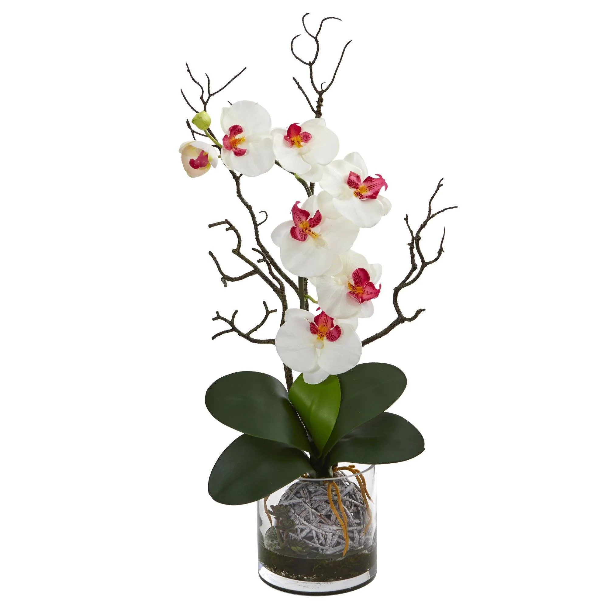 Phalaenopsis Orchid Artificial Arrangement in Vase - Image 7
