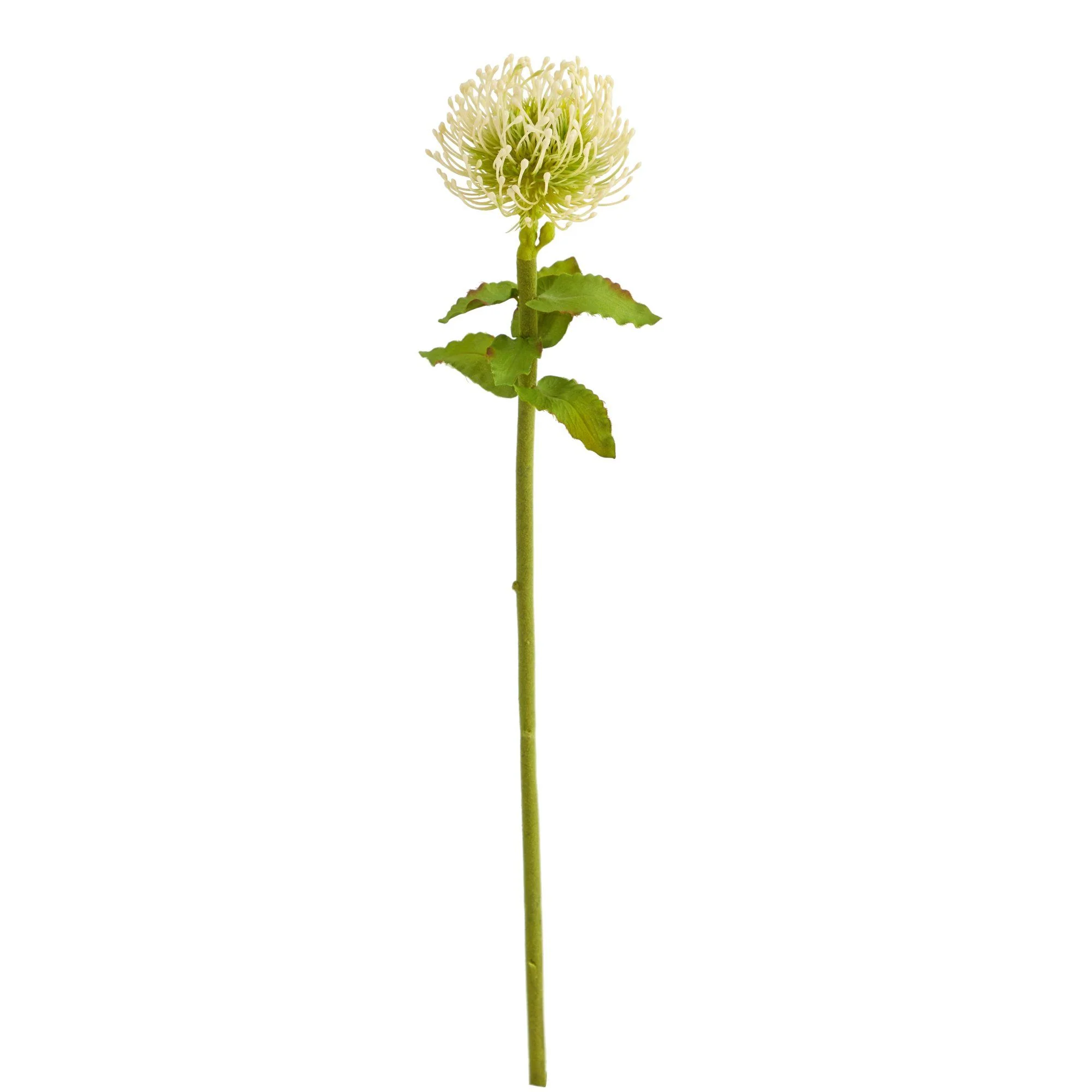 24” Pincushion Artificial Flower (Set of 6) - Image 3