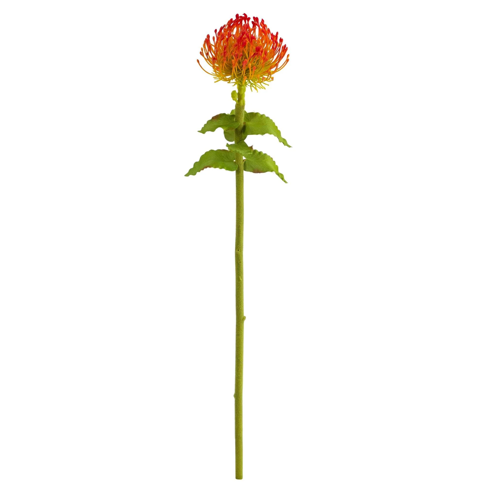 24” Pincushion Artificial Flower (Set of 6) - Image 5