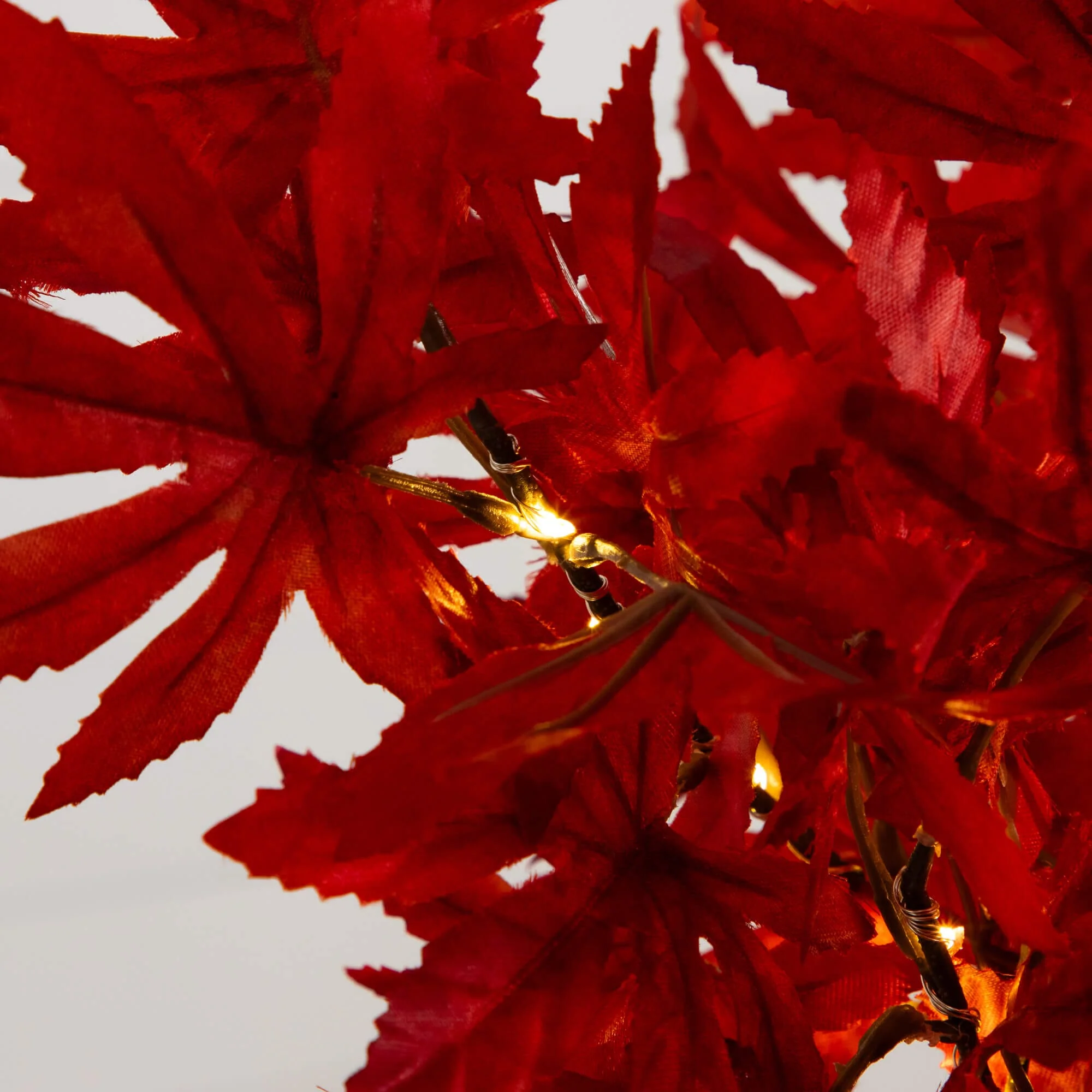 2' Pre-Lit Red Autumn Maple Artificial Fall Tree with 50 Warm White LED Lights and Detachable Base - Image 2